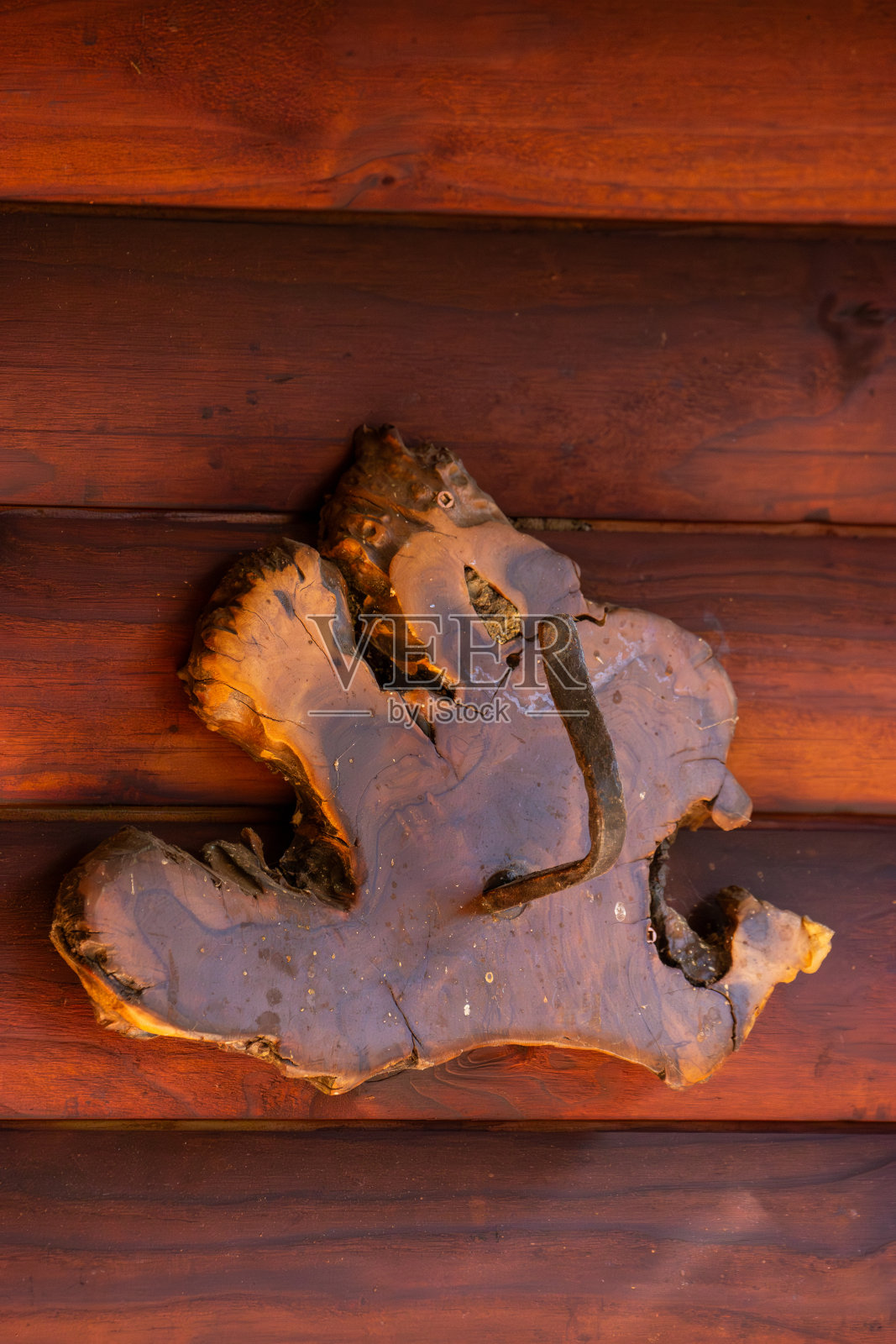 幻想性视错觉。抽象的木质装饰看起来像一只鸟。照片摄影图片