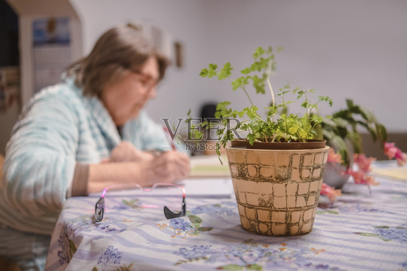 在早春播种的作物上做些小笔记照片摄影图片