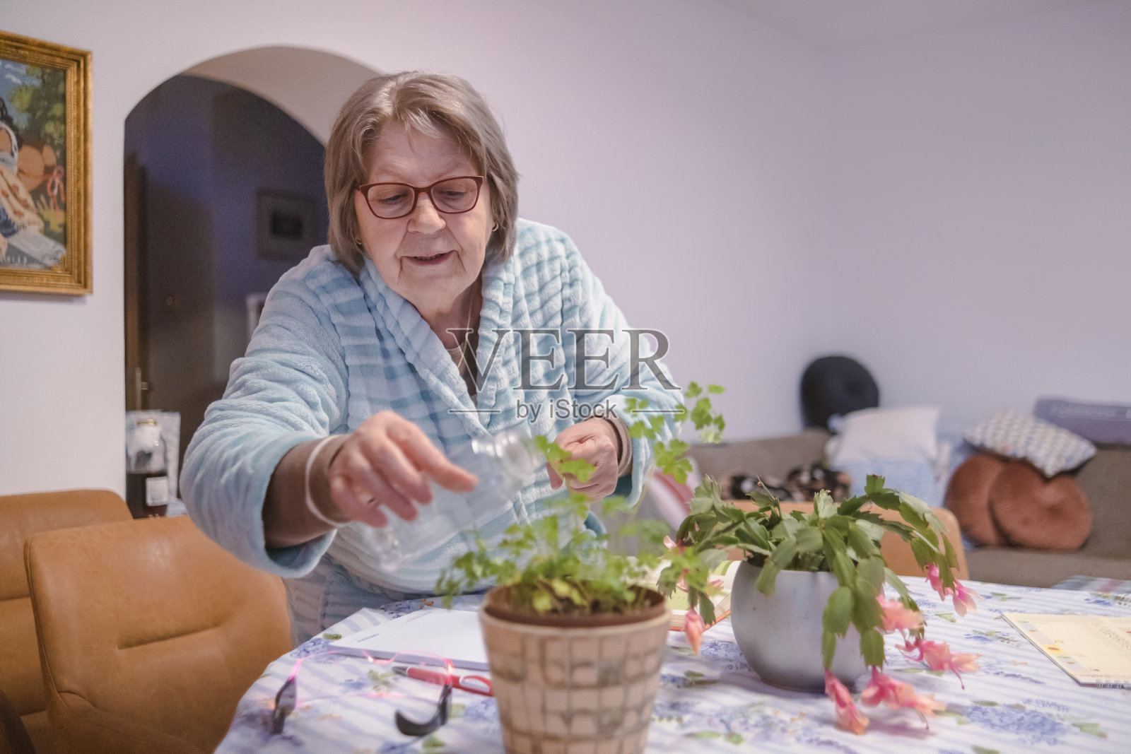 早春种植前在花园活动照片摄影图片