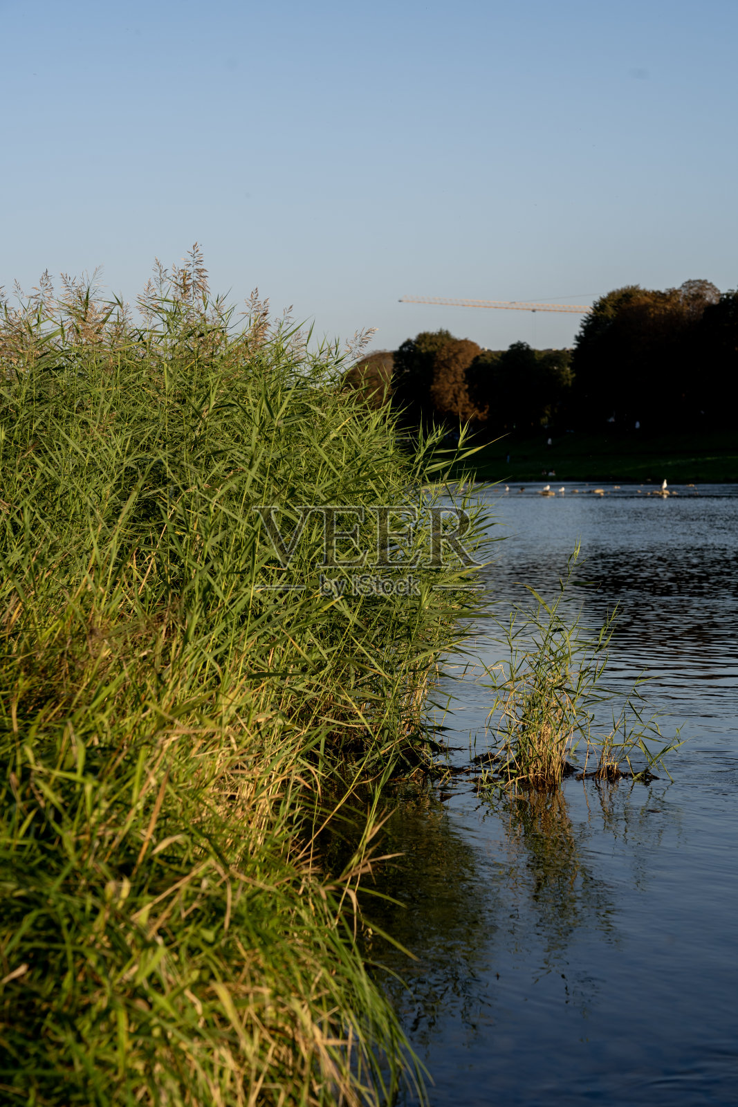 河流和海岸景观,河岸在城市照片摄影图片