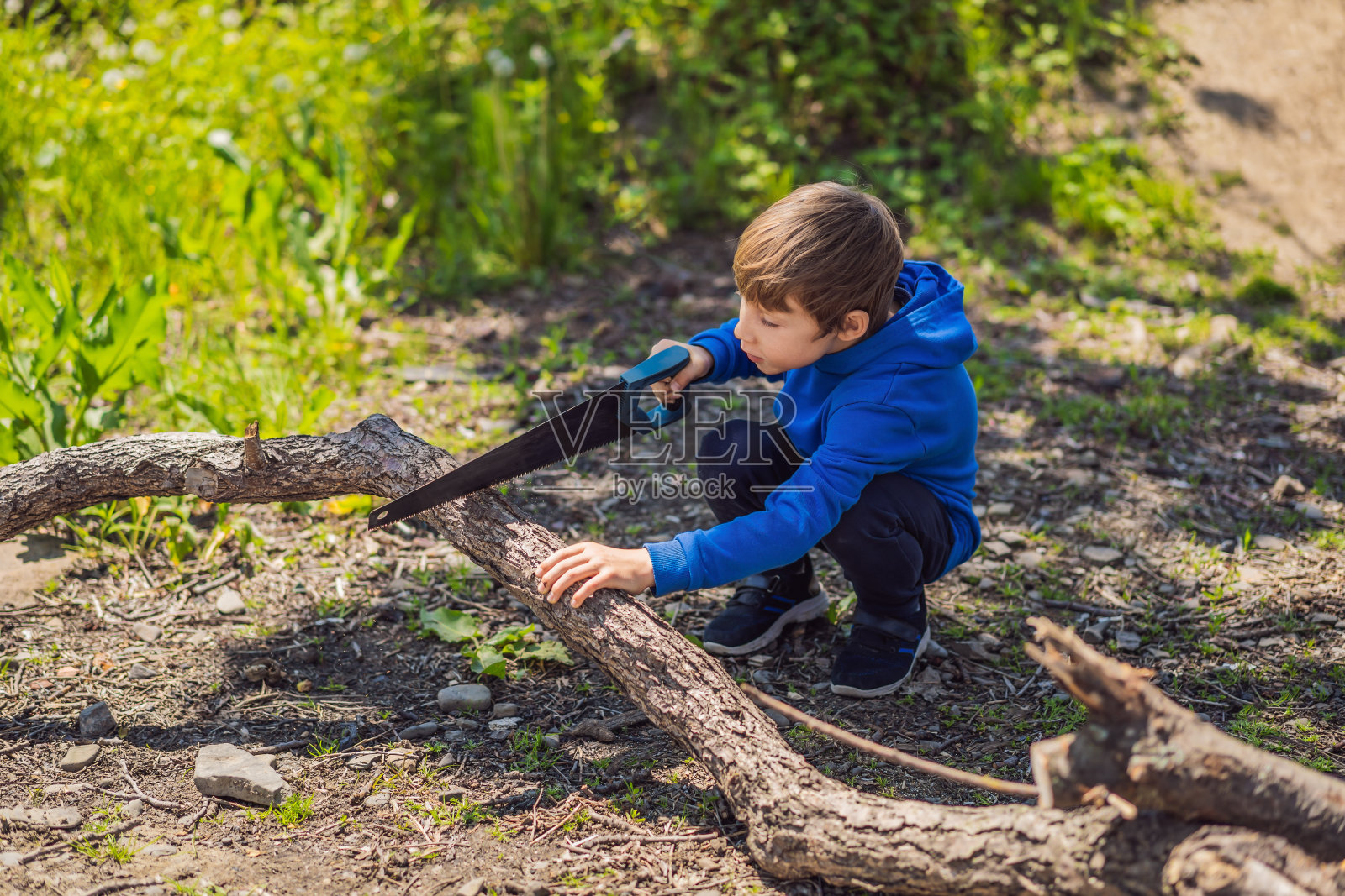 一个童子军在森林里为生火锯树枝。侦察营。准备生火。为生火准备木柴。斧头和锯子。侦察和旅游设备。工具照片摄影图片