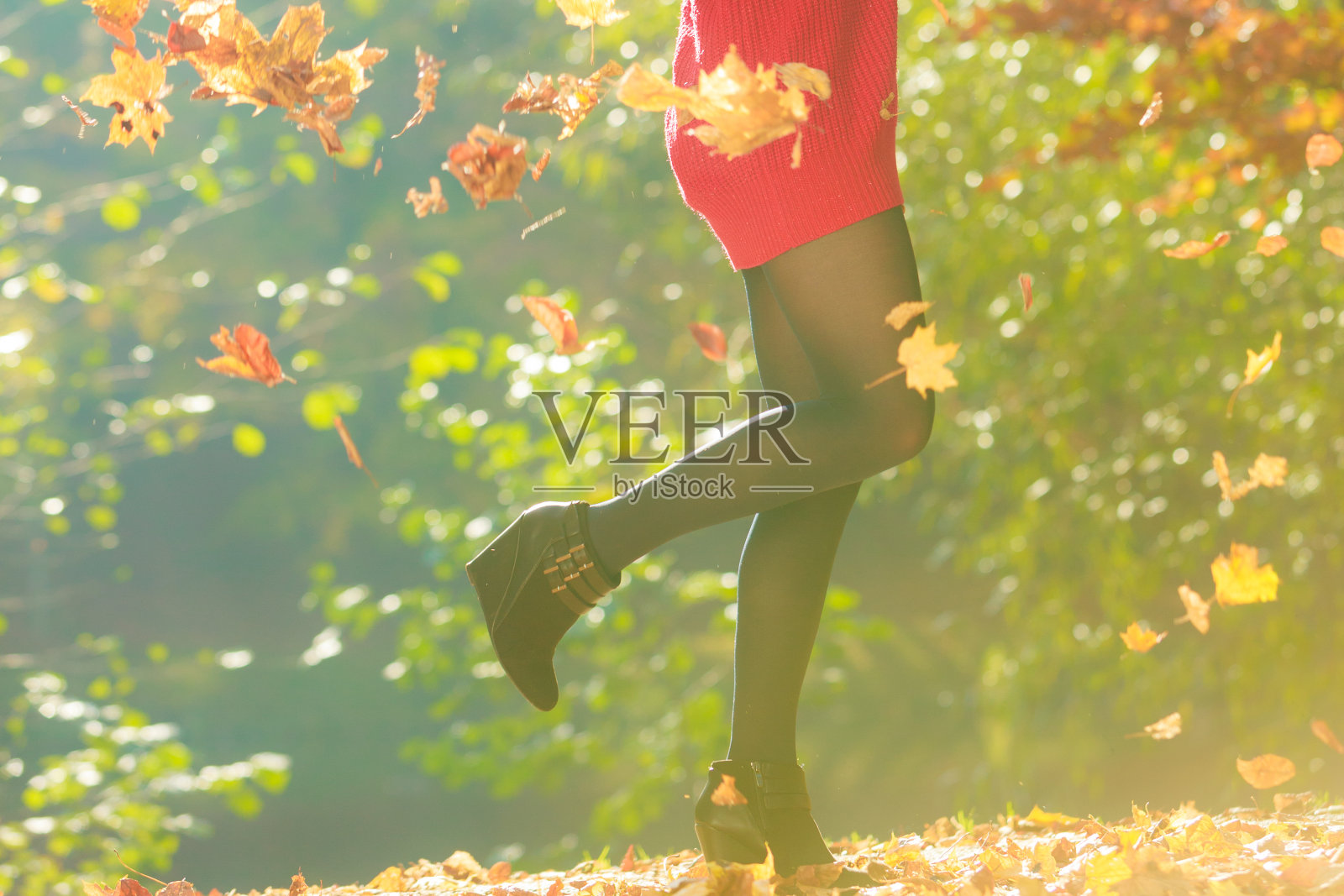 顽皮的女人在户外玩树叶。照片摄影图片