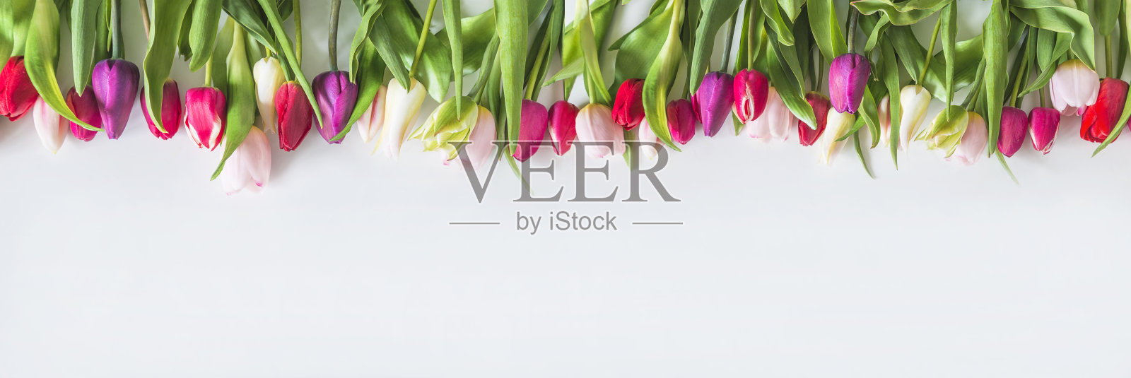 情人节快乐或国际妇女节概念;照片摄影图片