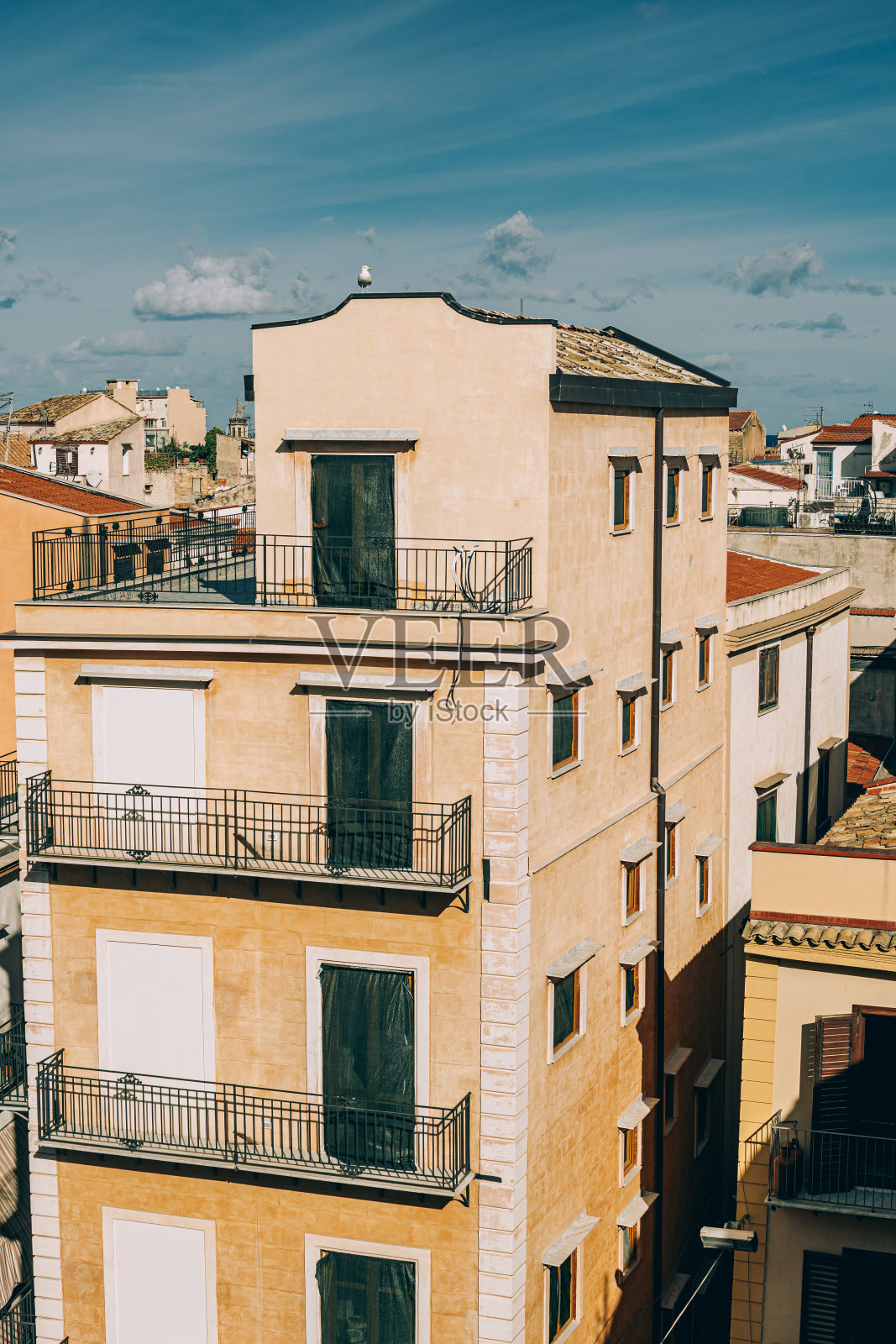 一只白色的海鸥坐在建筑物的屋顶上照片摄影图片