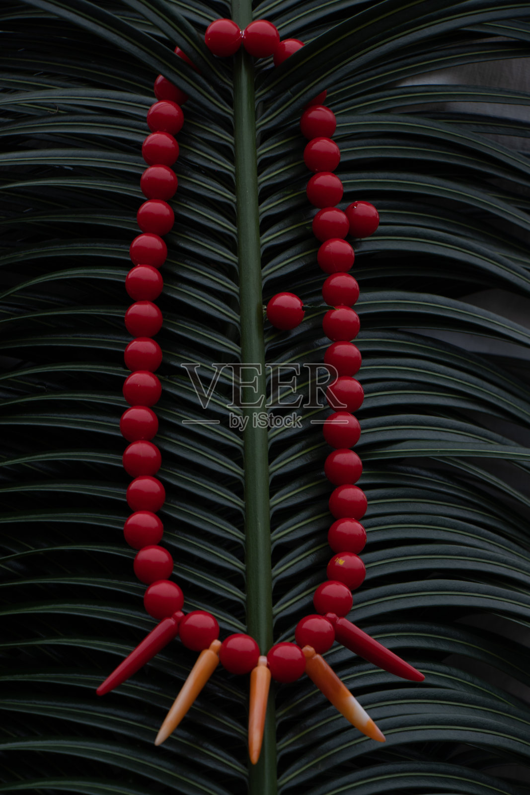 非洲足球之王/永远的瓦坎达照片摄影图片