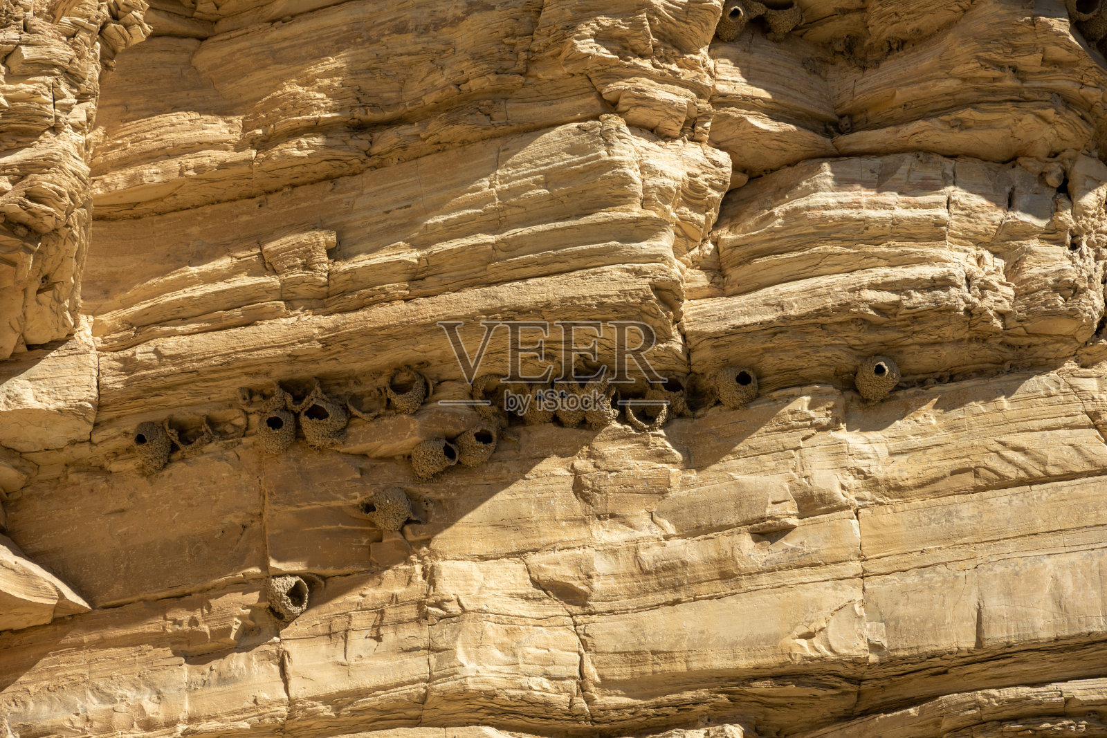 在大弯温泉附近建在墙上的燕窝照片摄影图片