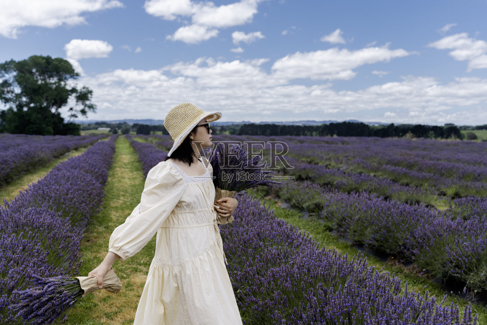 年轻的亚洲女子手持一大束薰衣草,站在盛开的紫色薰衣草地里照片摄影图片