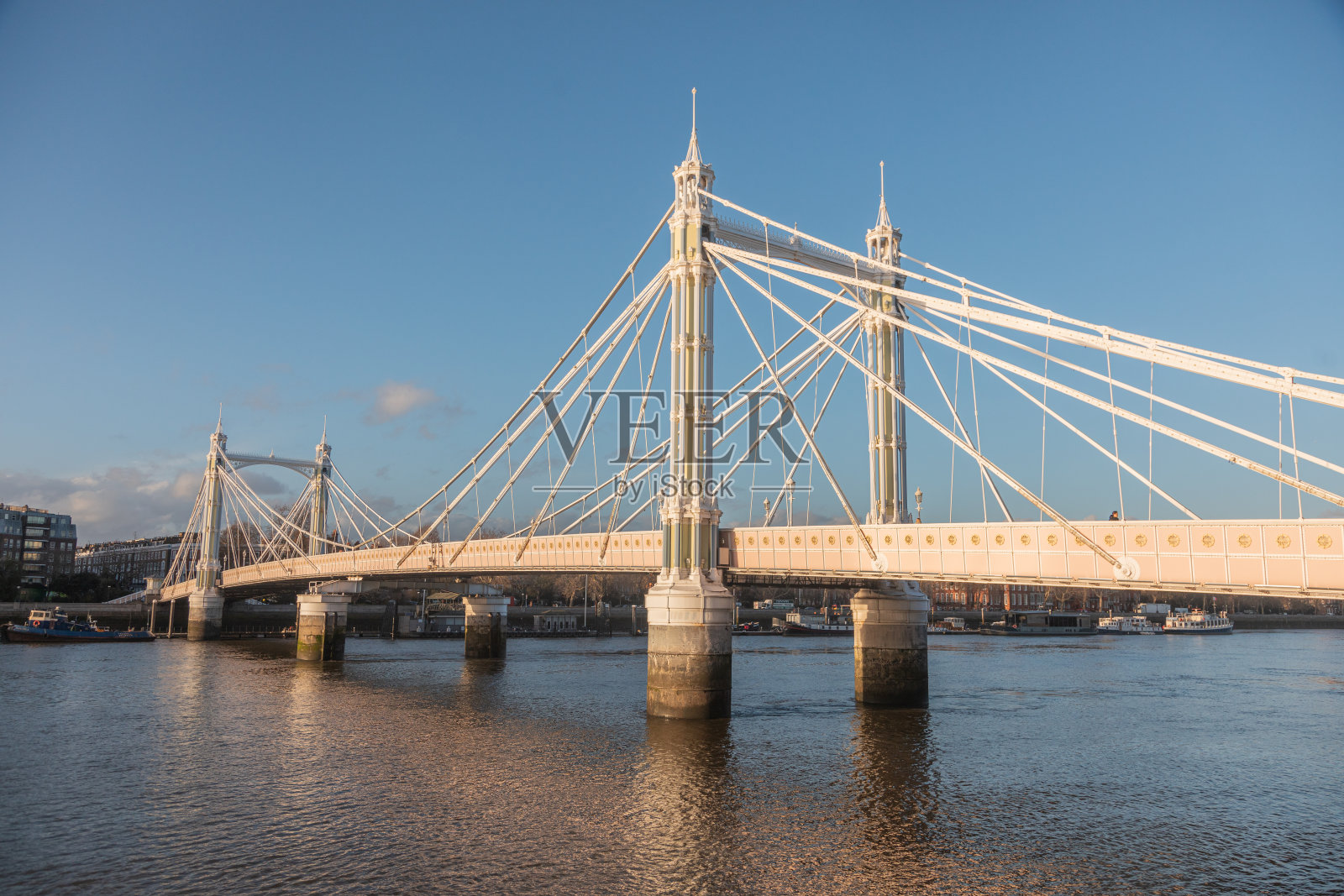 阿尔伯特桥:连接银行和时代的永恒奇迹,位于英国伦敦切尔西照片摄影图片