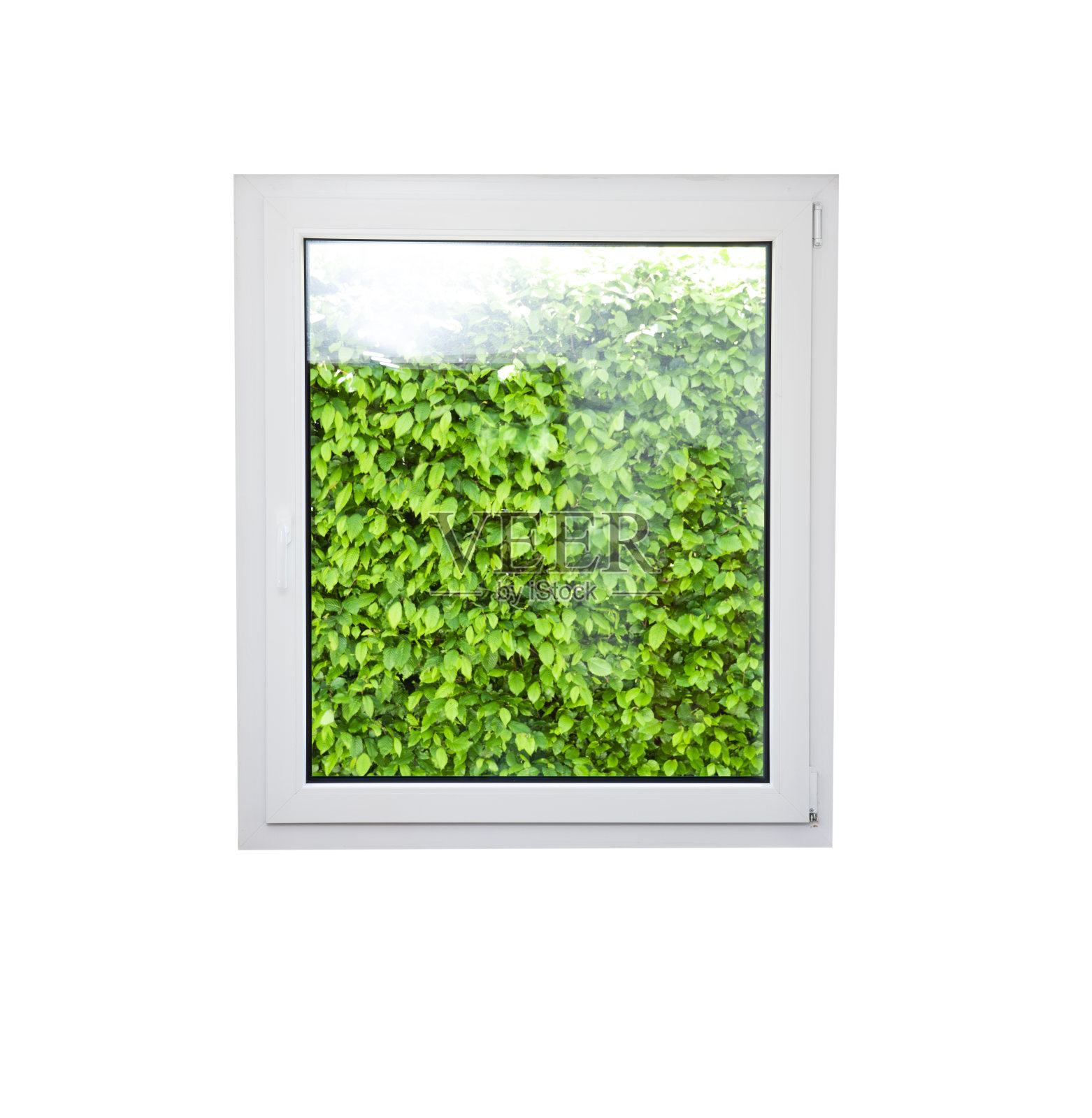 绿树篱隔在一扇窗后照片摄影图片