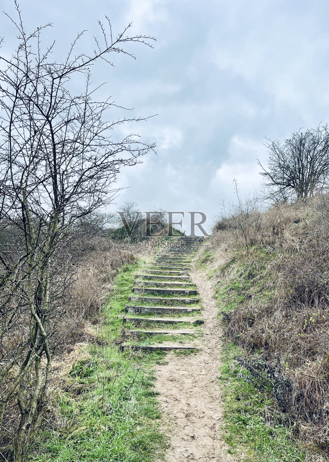 通往山上的木制楼梯照片摄影图片