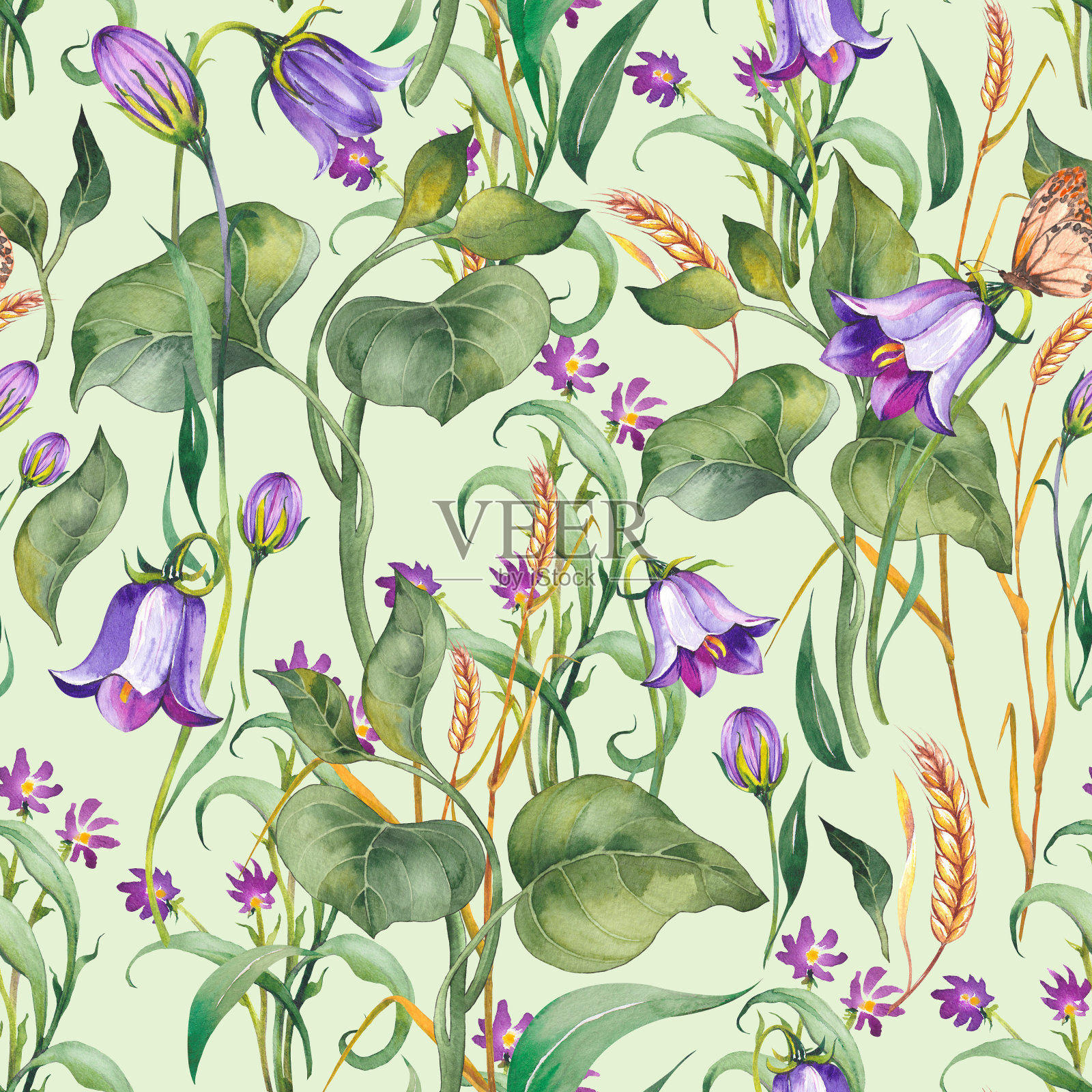 无缝图案与草甸植物和紫色风铃花。插画图片素材