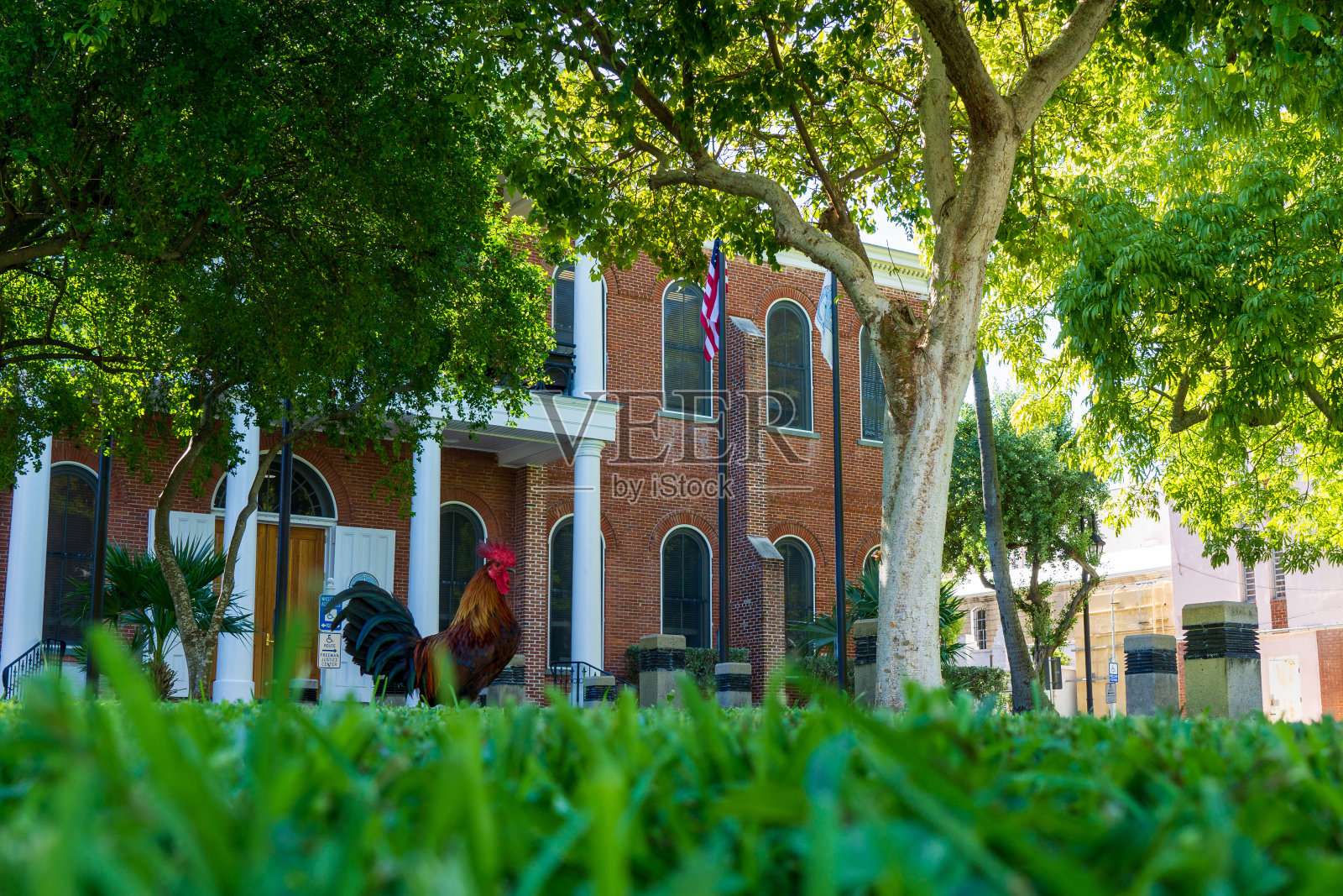 基韦斯特公鸡比克斯通大厦照片摄影图片