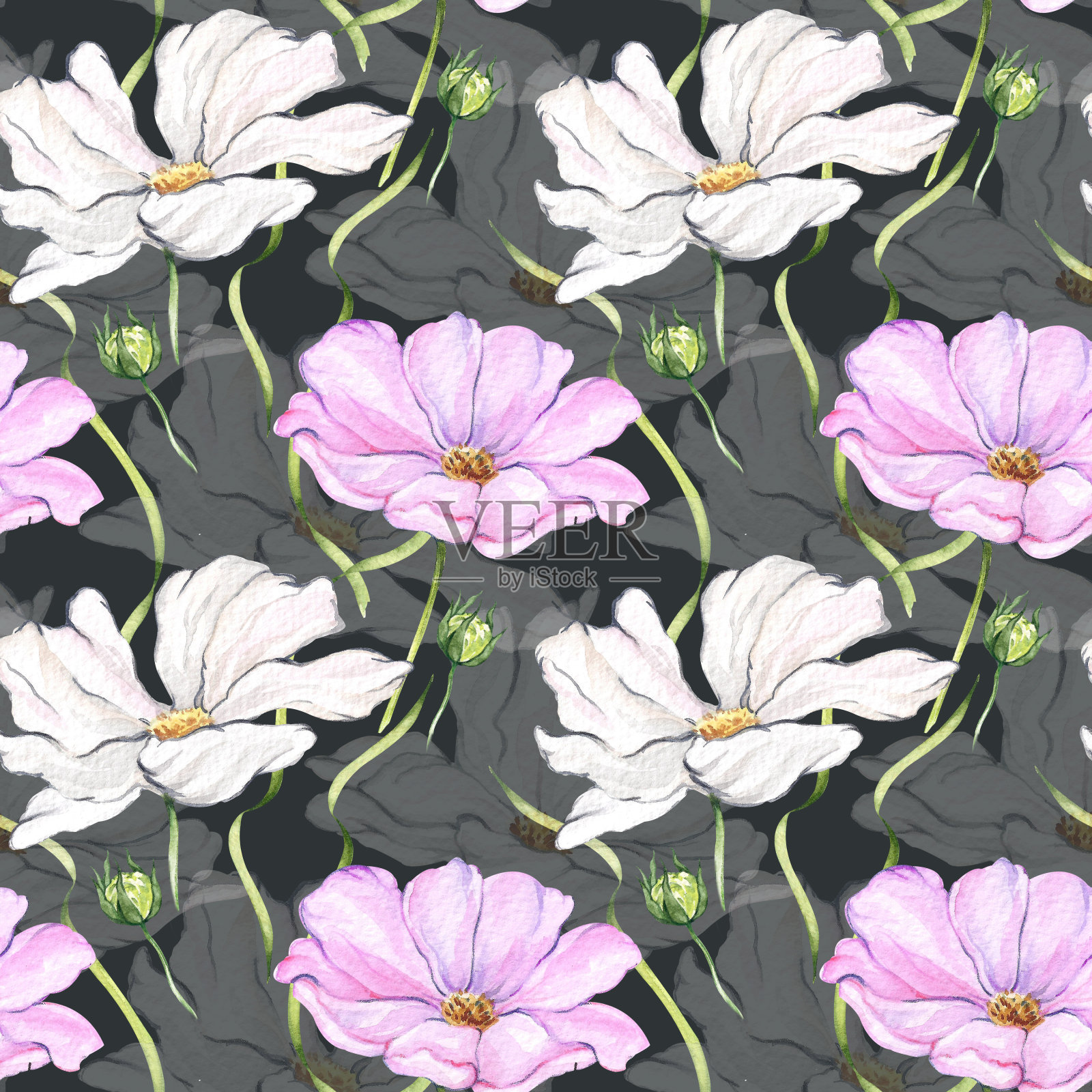 雏菊图案插画图片素材