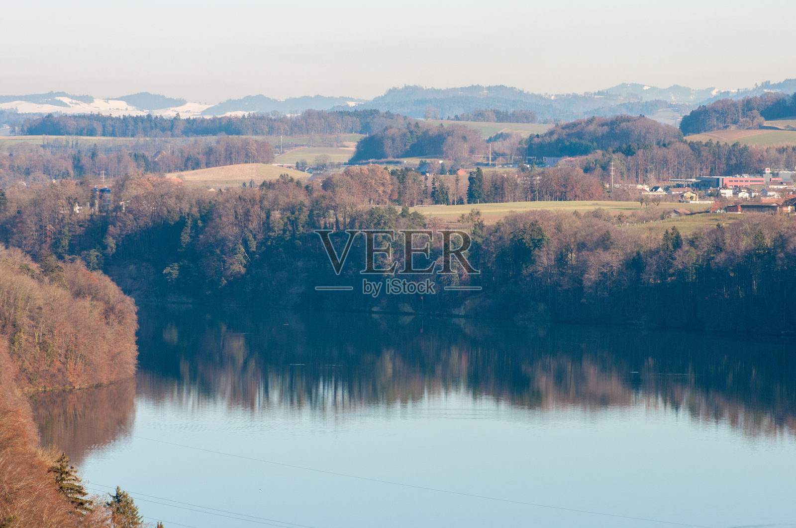 虫胶照片摄影图片