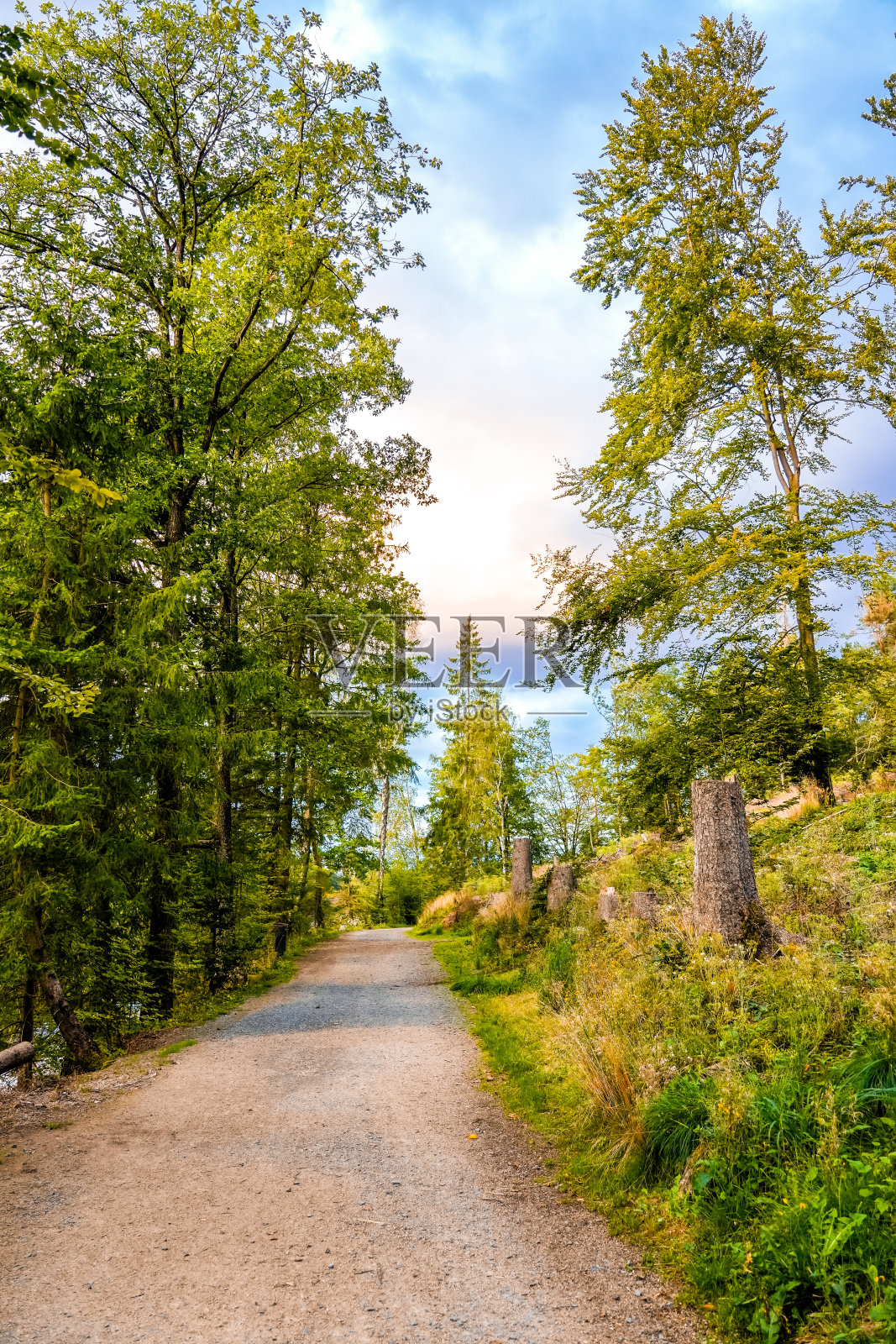 Oestertalsperre的人行道与周围的自然景观。普莱滕贝格附近的景观。照片摄影图片