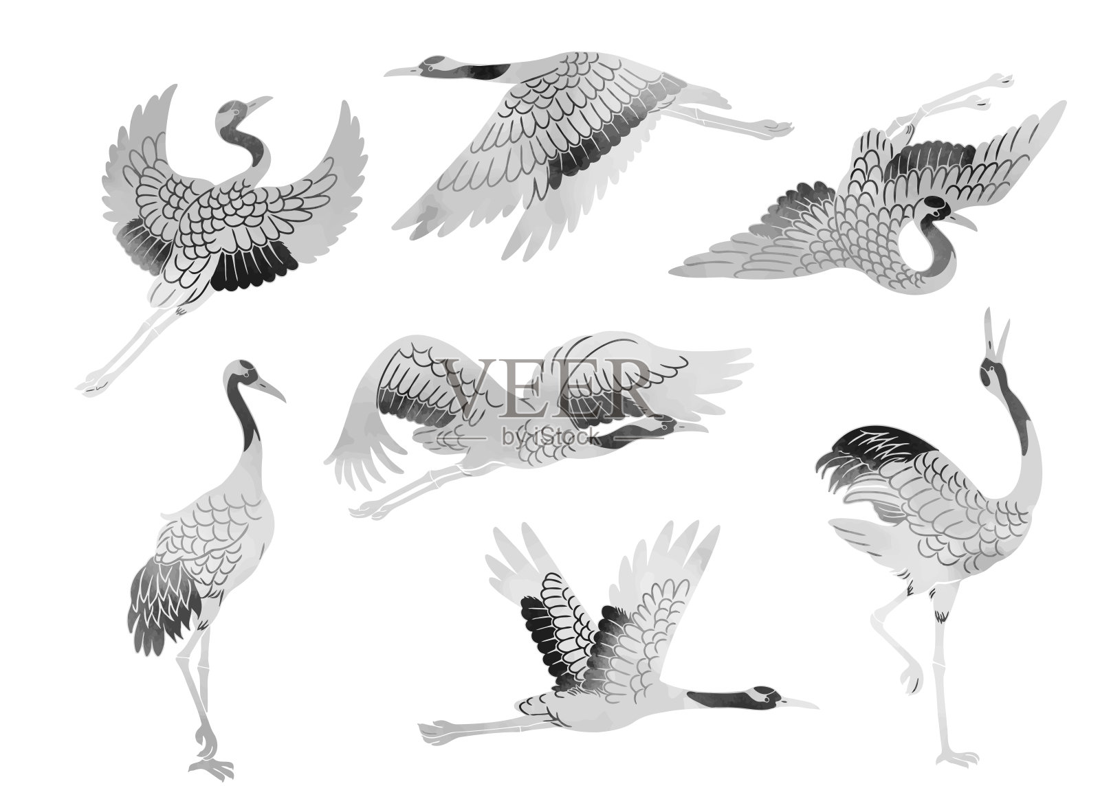 Sumi-e风格起重机矢量插图集插画图片素材