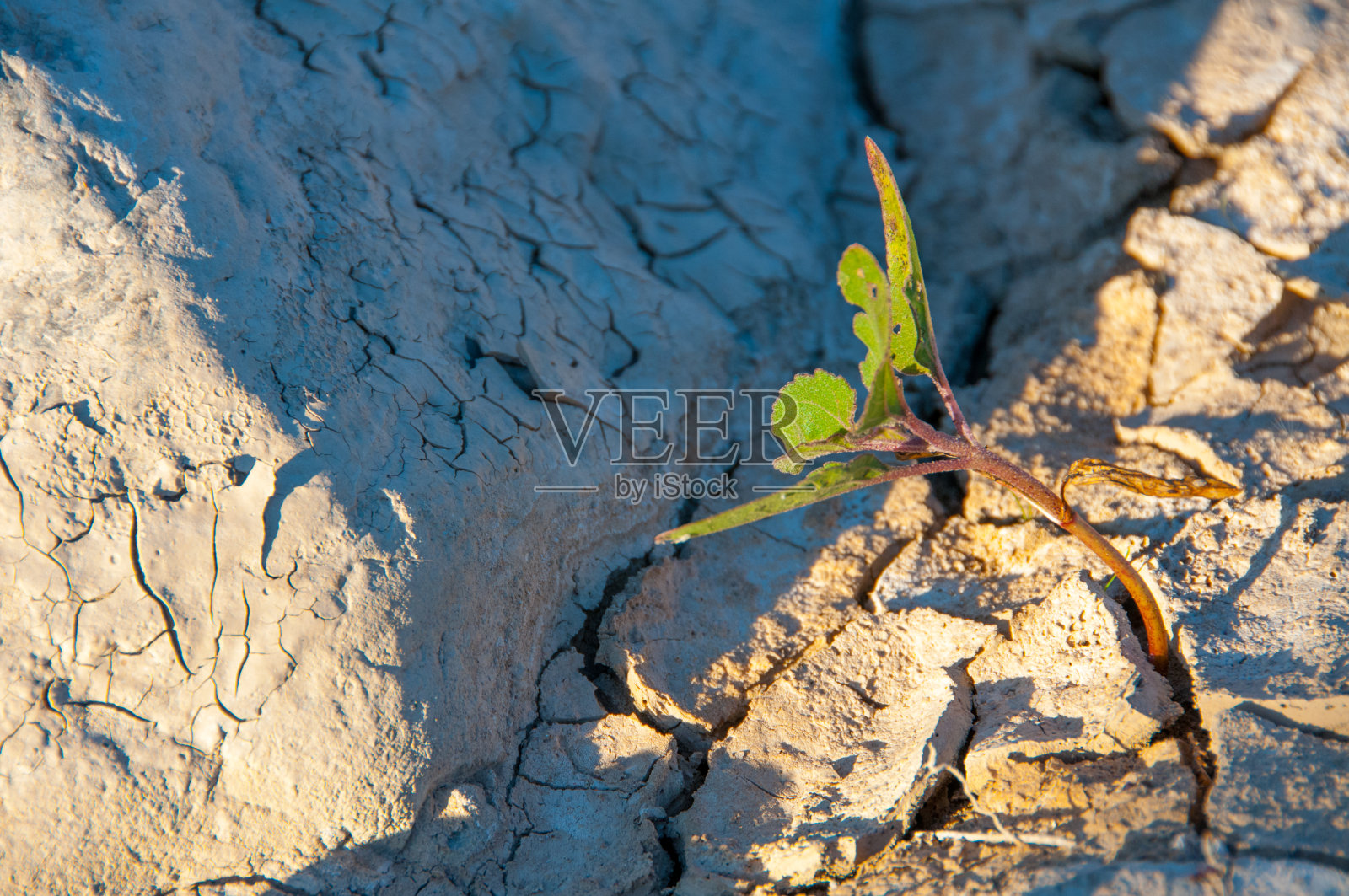 德州的干泥。大本德国家公园的圣埃琳娜峡谷和格兰德河照片摄影图片