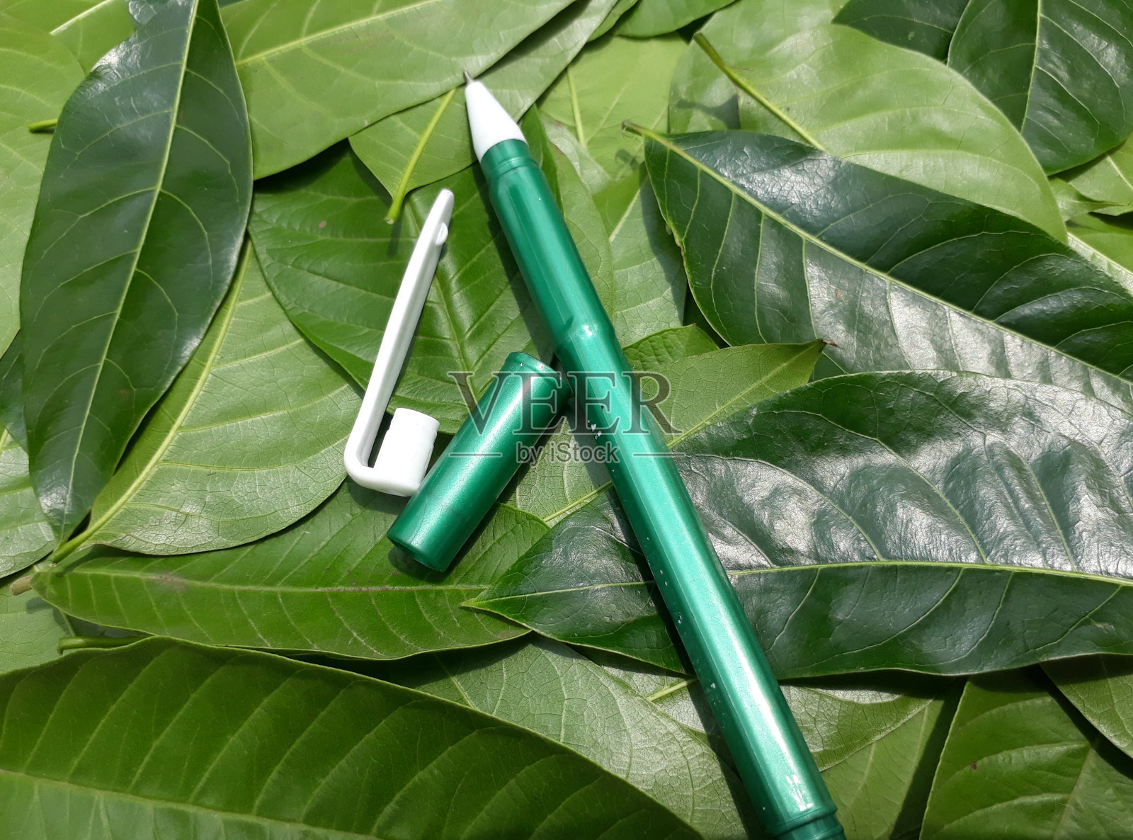 锅照片摄影图片