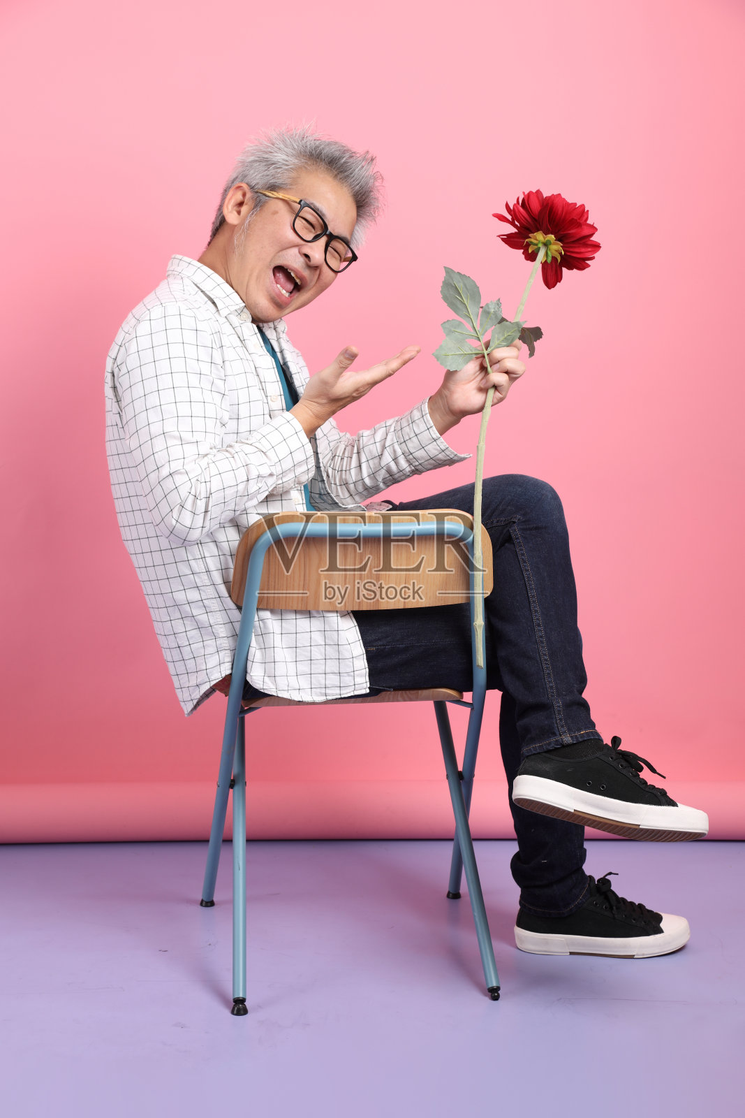 情人节照片摄影图片