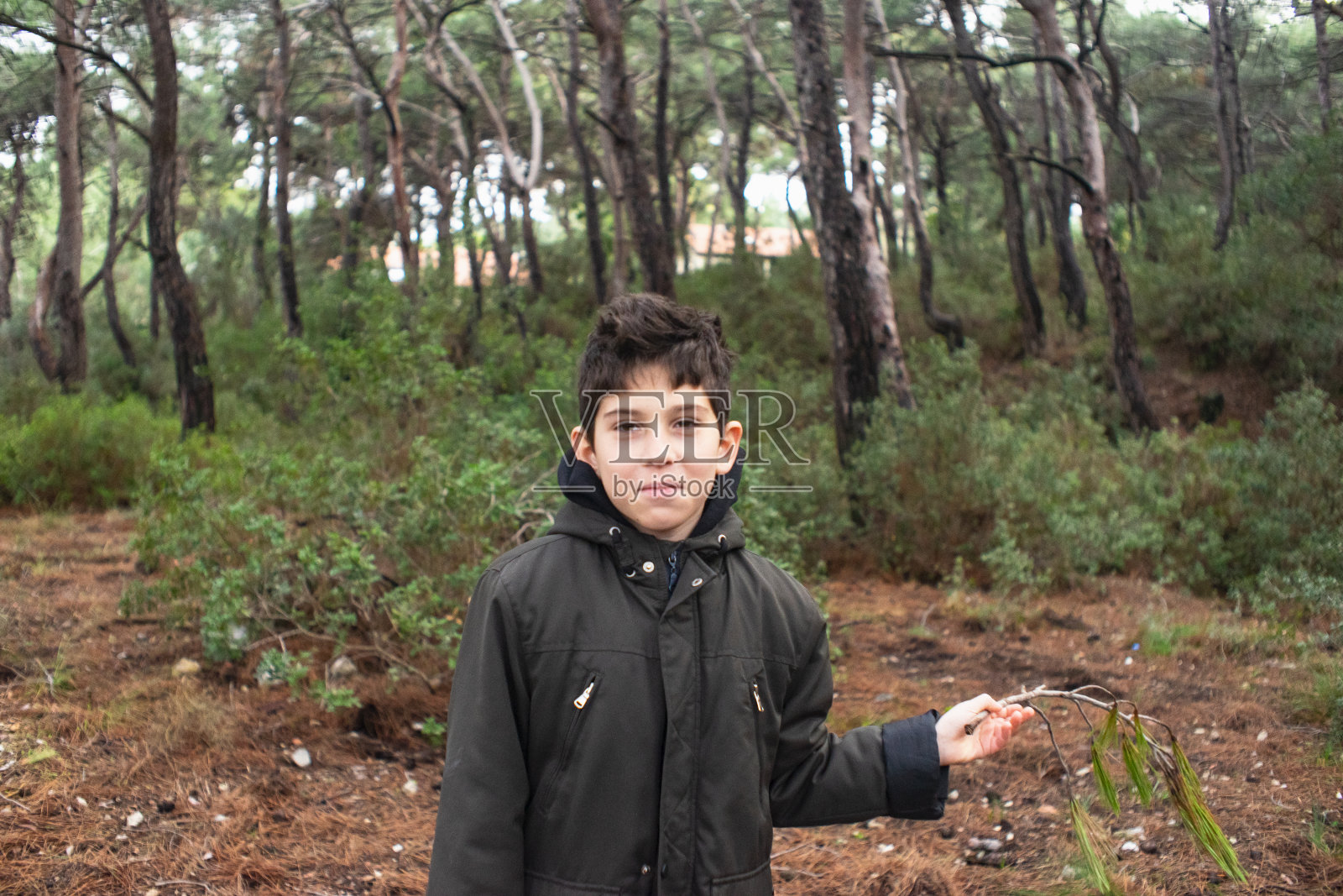 森林里的孩子照片摄影图片