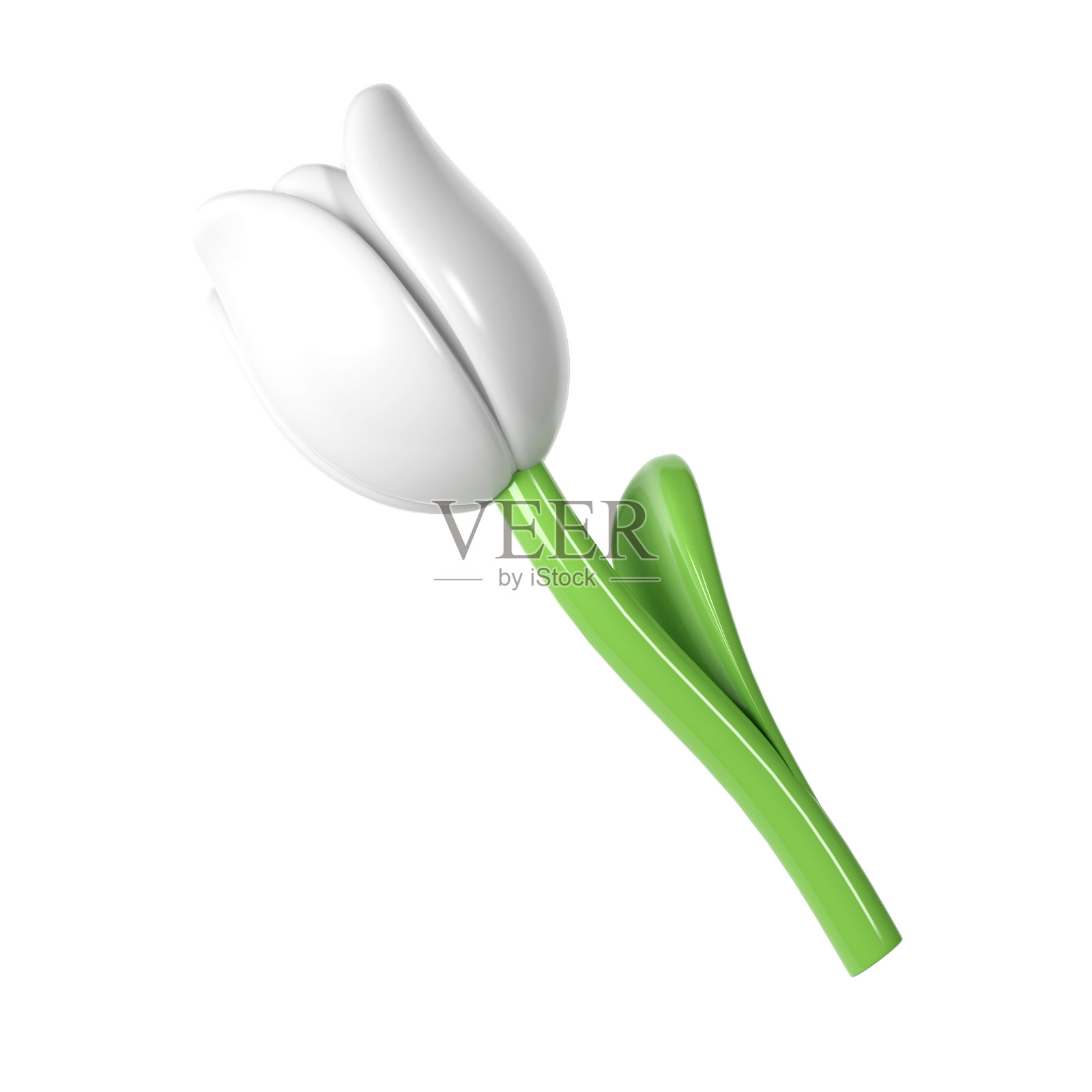 3d白色郁金香花卡通风格的花束或装饰。爱情情人节浪漫的设计孤立的白色背景春天插图照片摄影图片