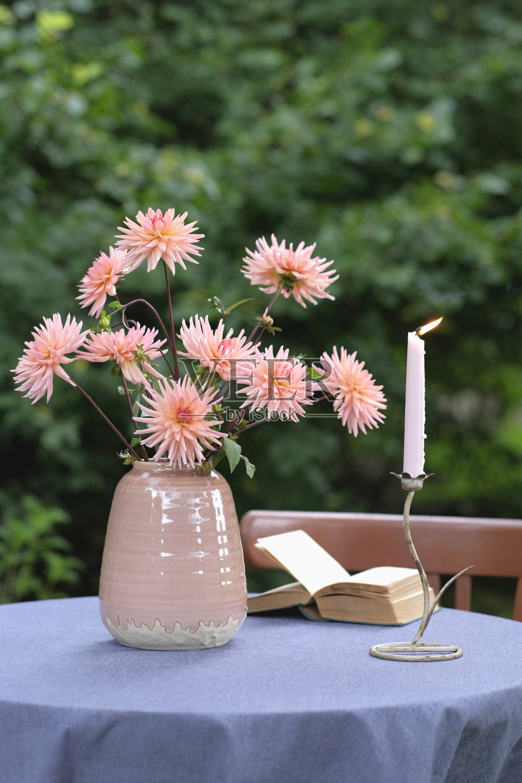 花园里桌子上的陶瓷花瓶里放着一束鲑鱼色的大丽花照片摄影图片