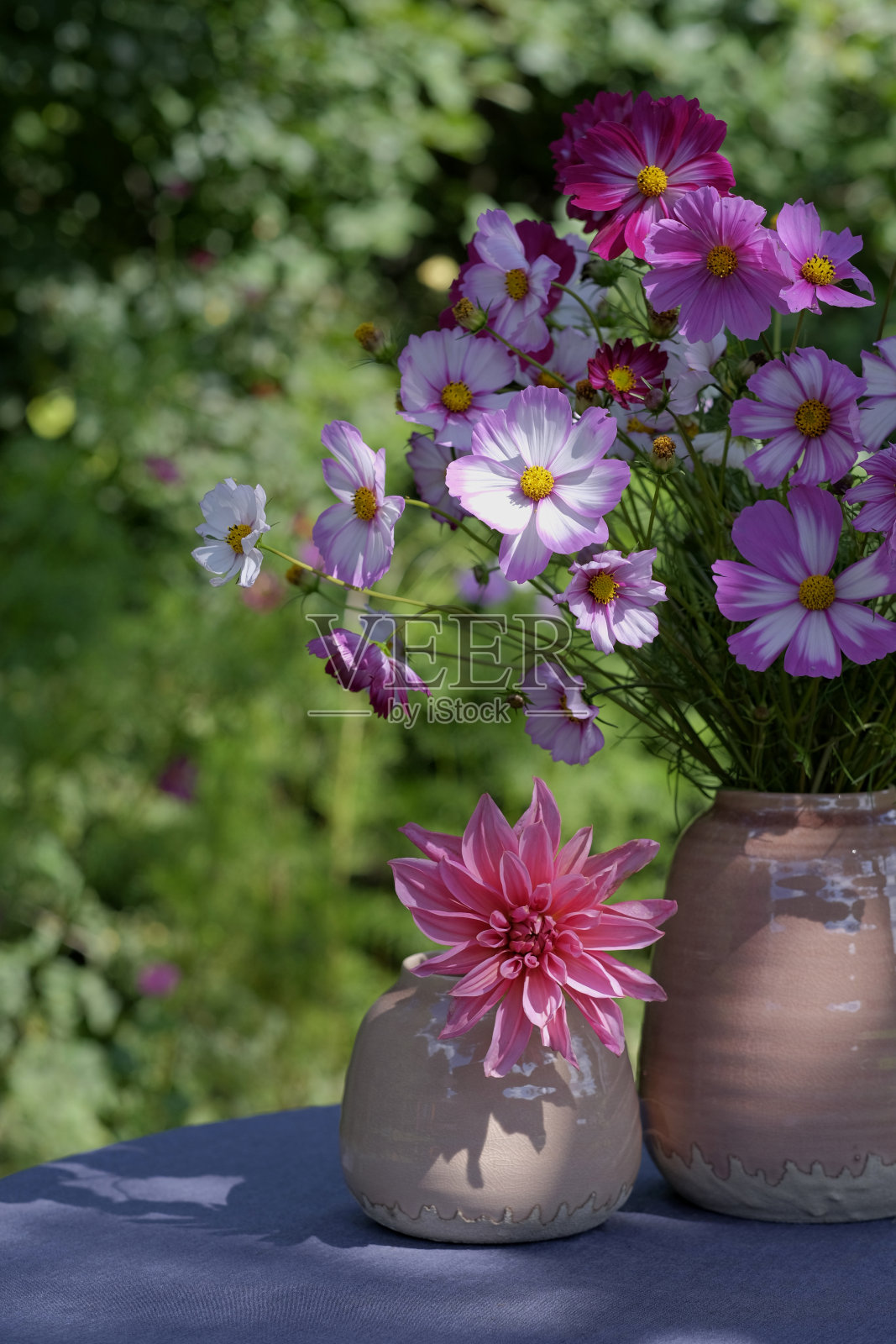 陶瓷花瓶里的一束五颜六色的宇宙花照片摄影图片
