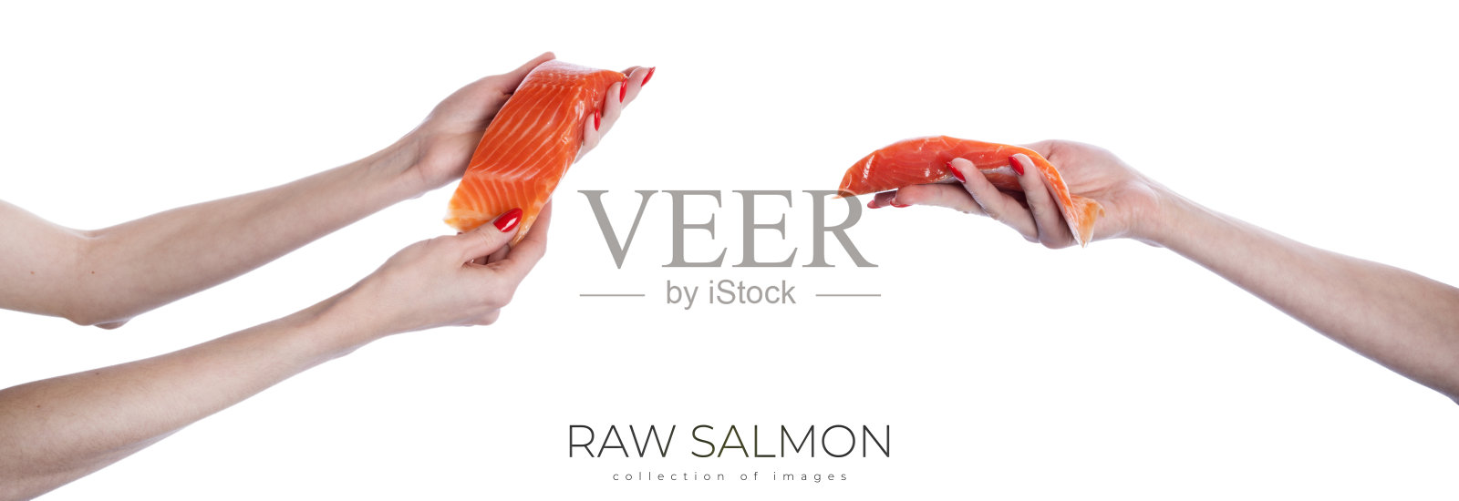 女人手里拿着一块生鲑鱼片,孤立在白色背景上。照片摄影图片