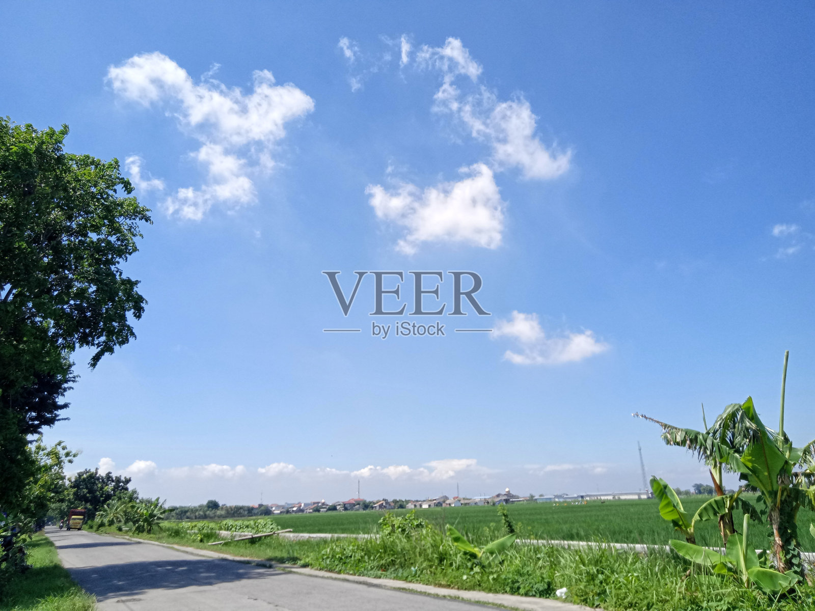 稻田附近乡村道路的气氛照片摄影图片