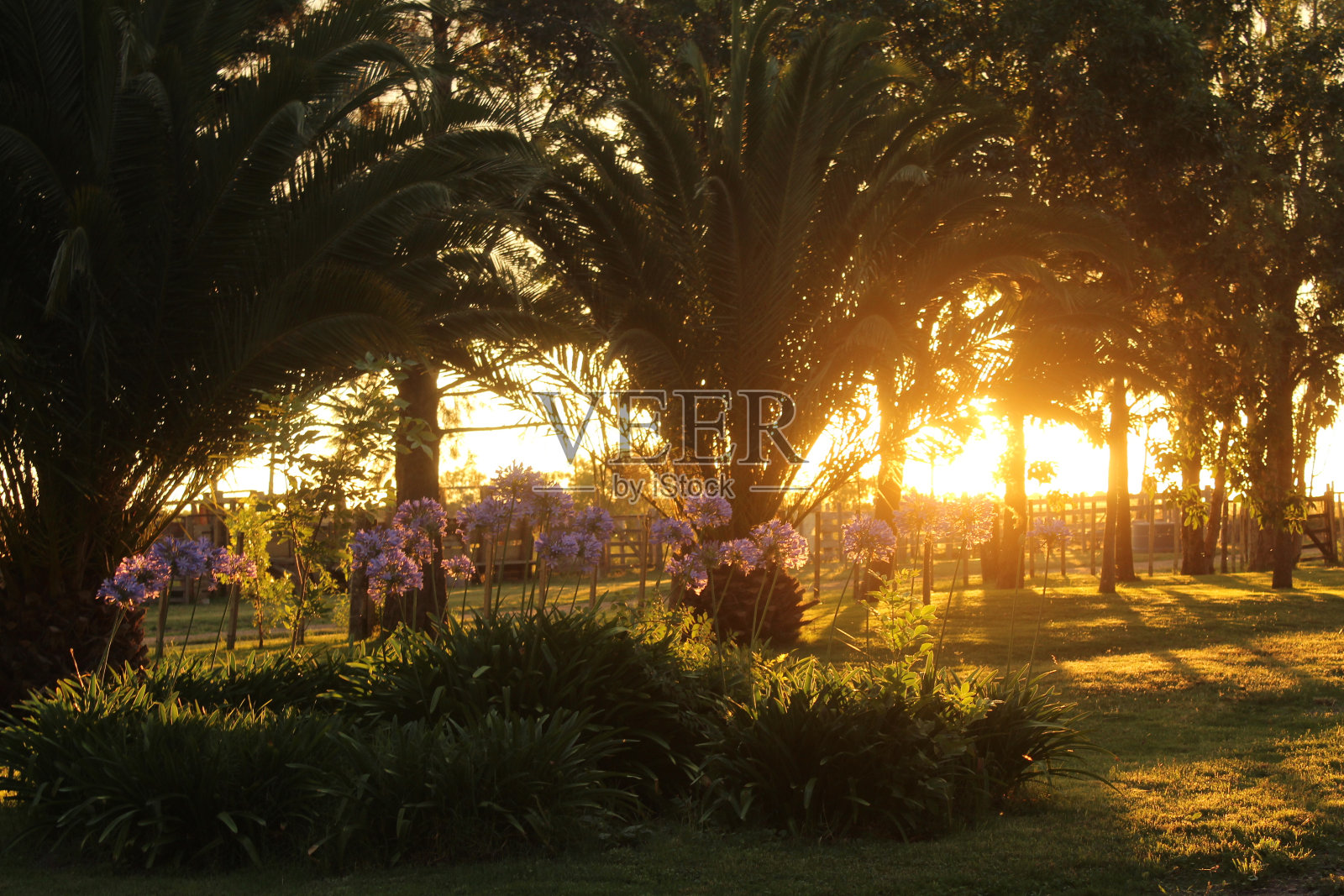 日落照片摄影图片