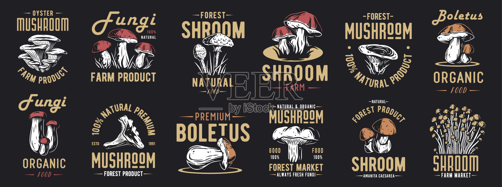 森林蘑菇肉毒杆菌套的牛肝菌,国王肉毒杆菌。作为食物的素食真菌。天然菌类为健康营养,蘑菇采摘插画图片素材