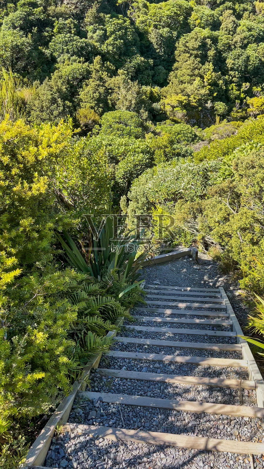 库克山国家公园西利塔恩斯步道上的3300级台阶中的一些照片摄影图片