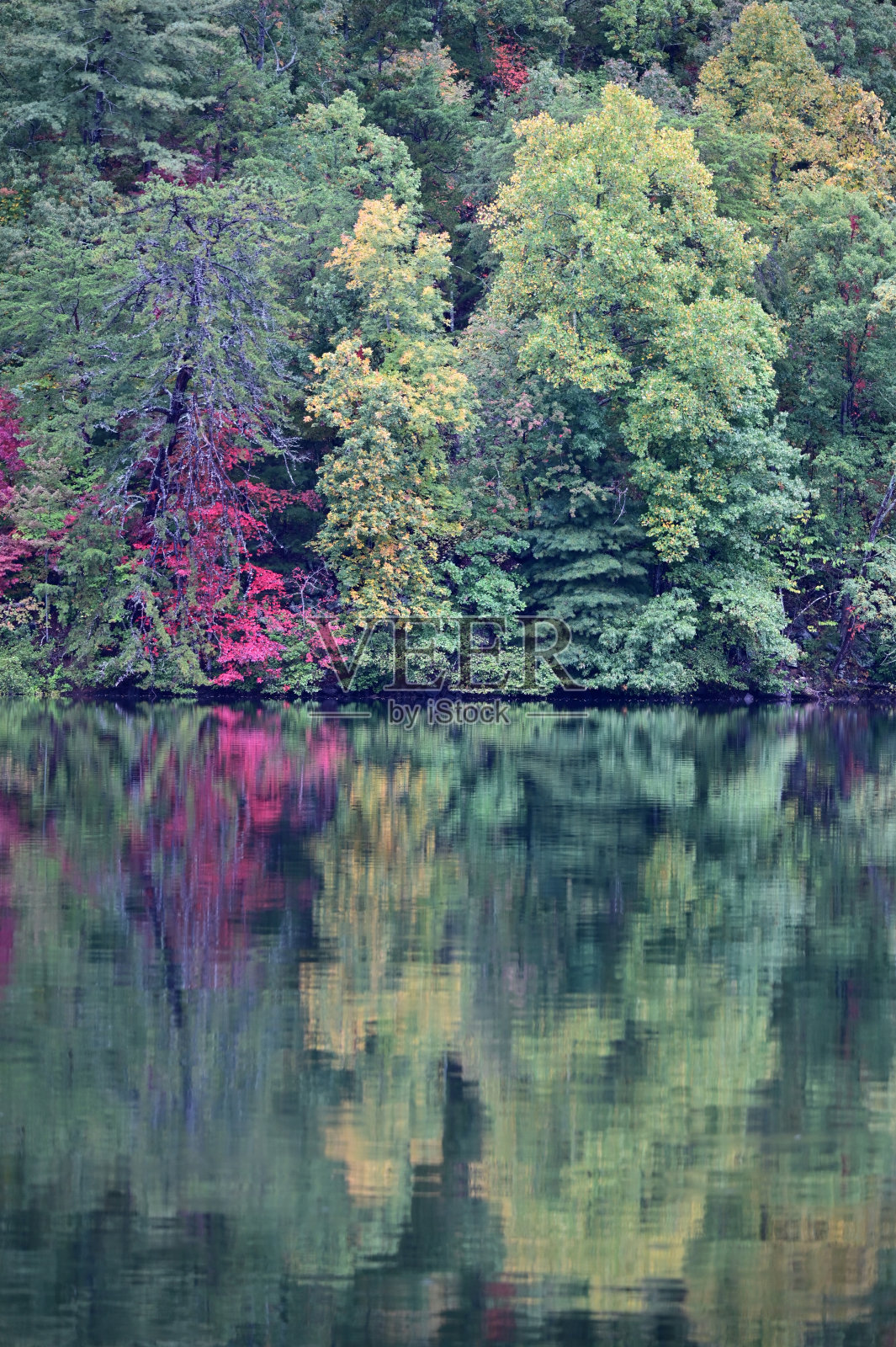 北卡罗莱纳州Santeetlah湖上五彩缤纷的秋色。照片摄影图片