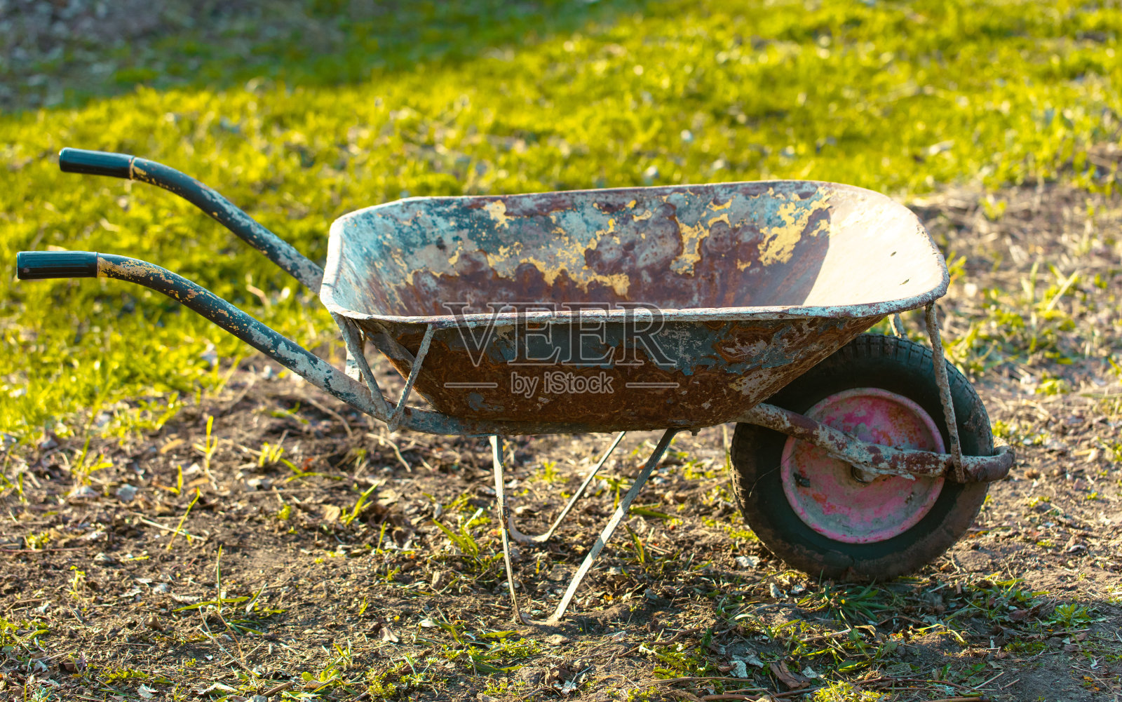 花园里的地上有一辆生锈的旧手推车。有选择性的重点照片摄影图片