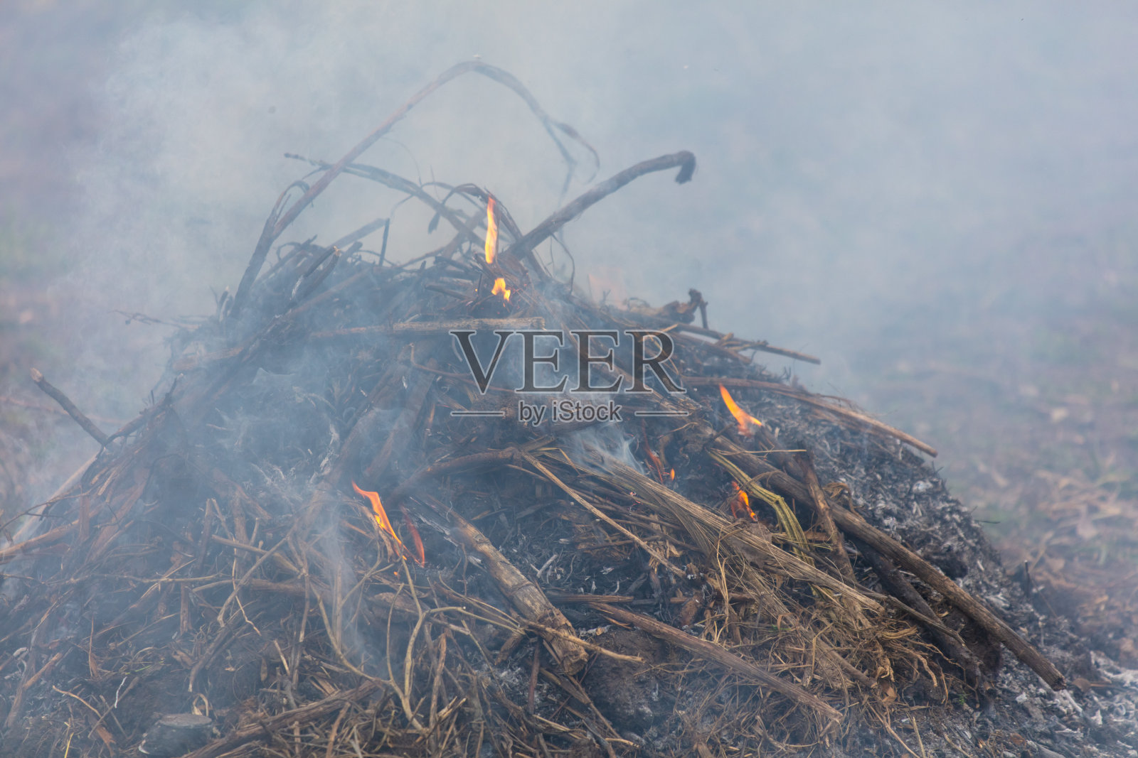在森林里燃烧地上的干草。特写镜头照片摄影图片