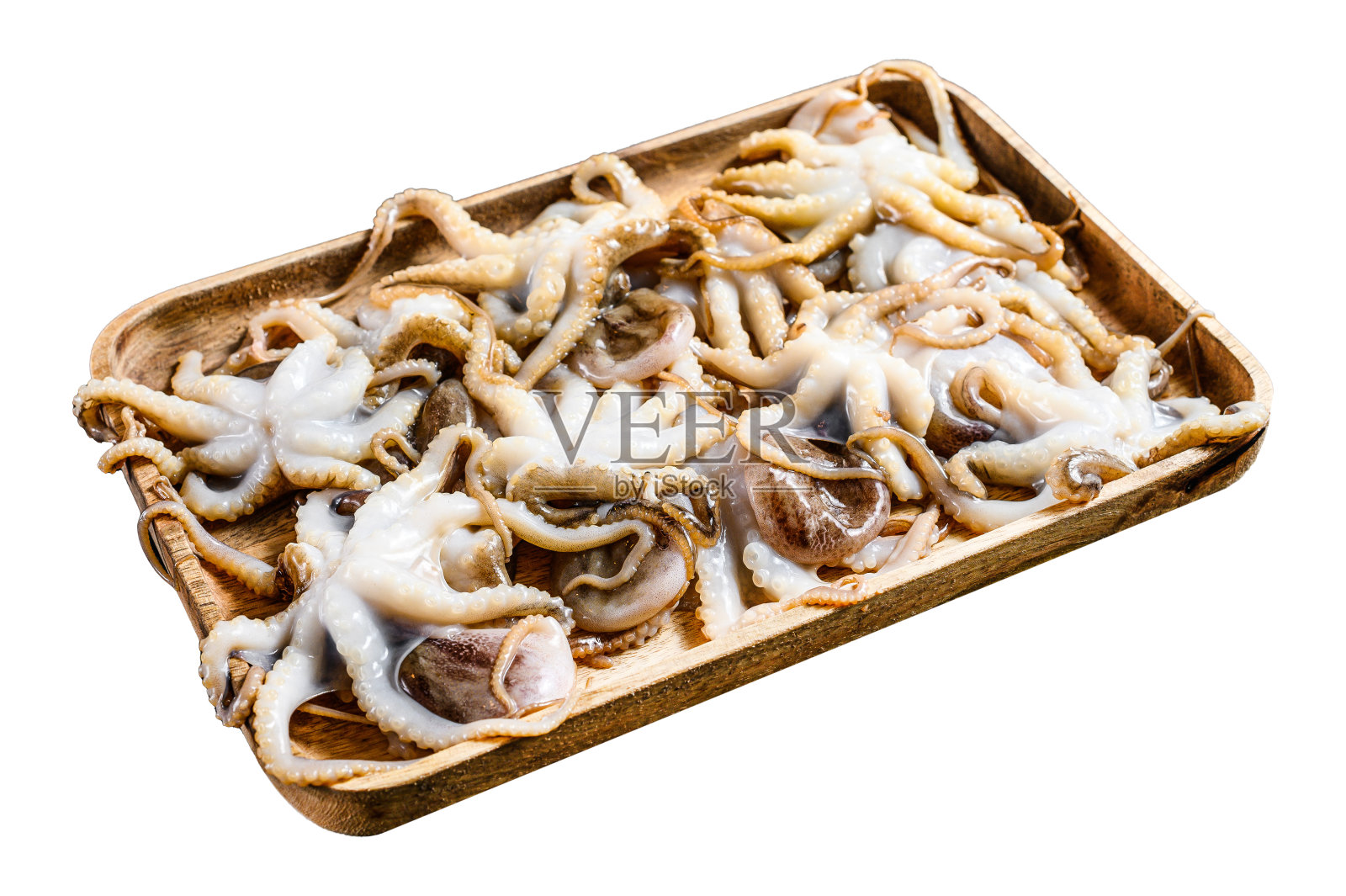 生的小章鱼孤立在白色背景。前视图。照片摄影图片