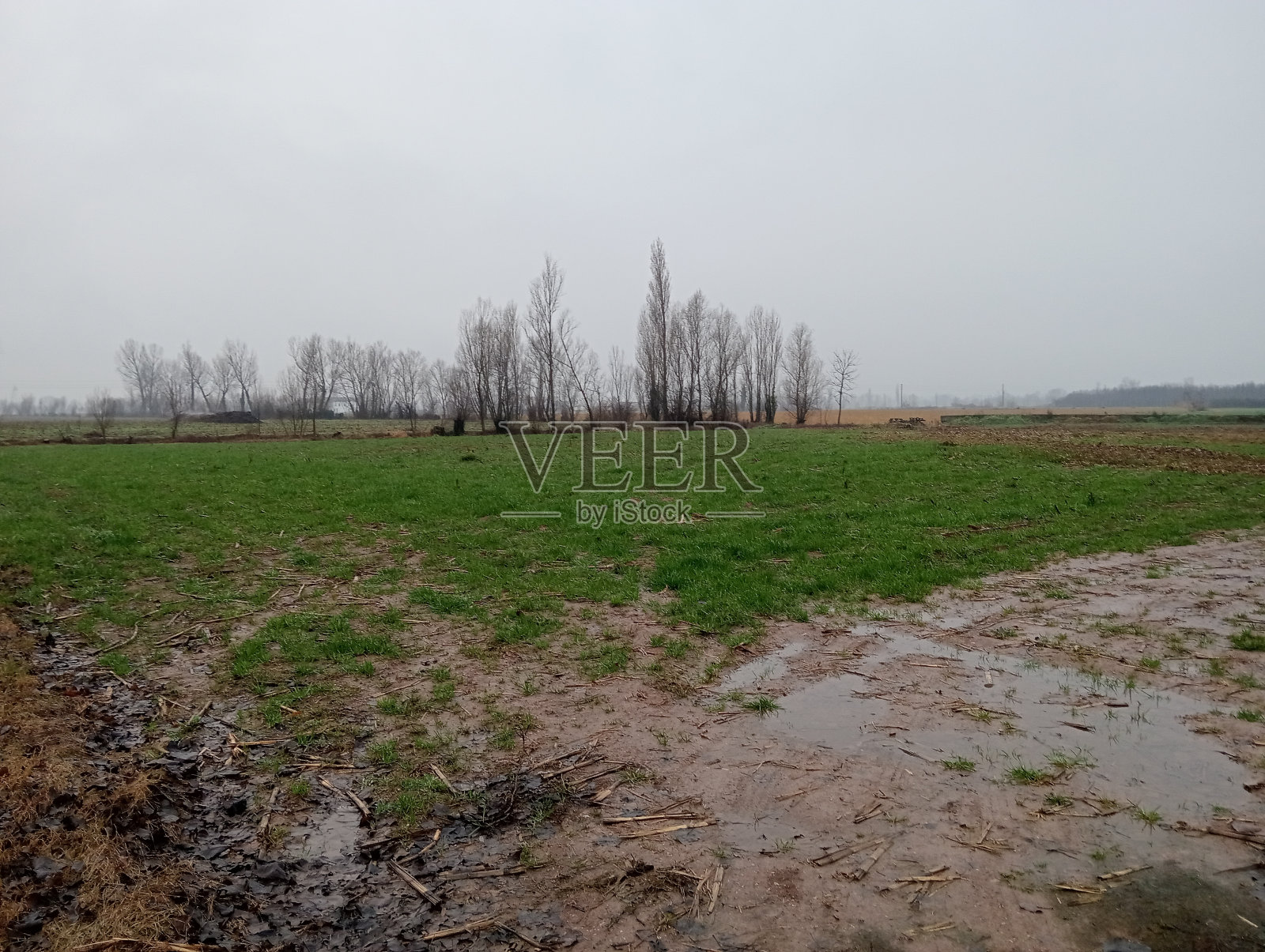 农村的场景照片摄影图片