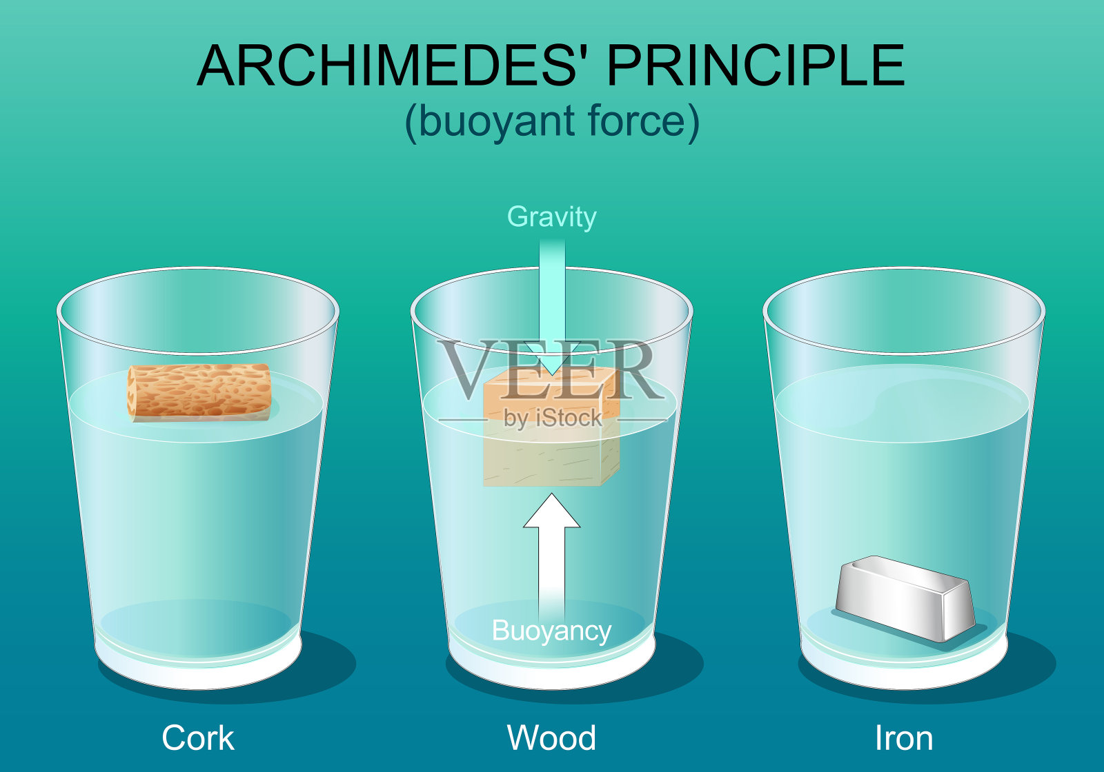阿基米德原理。重力和浮力插画图片素材
