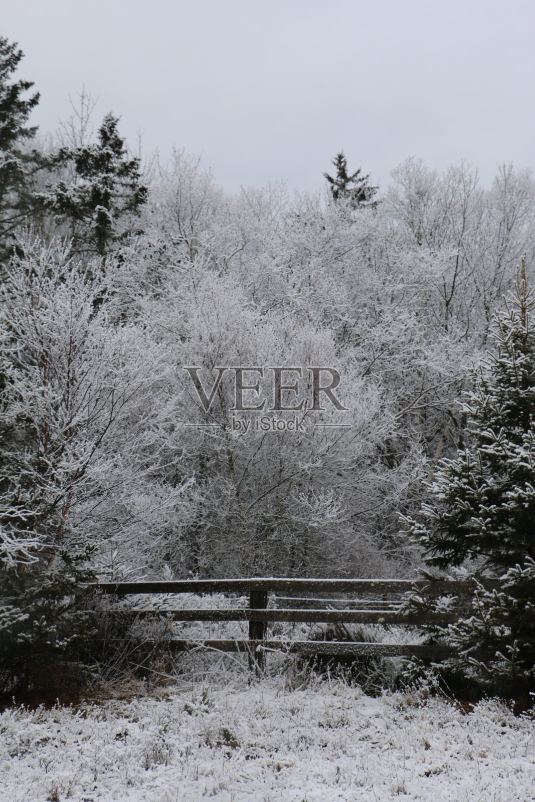 雪栅栏线照片摄影图片