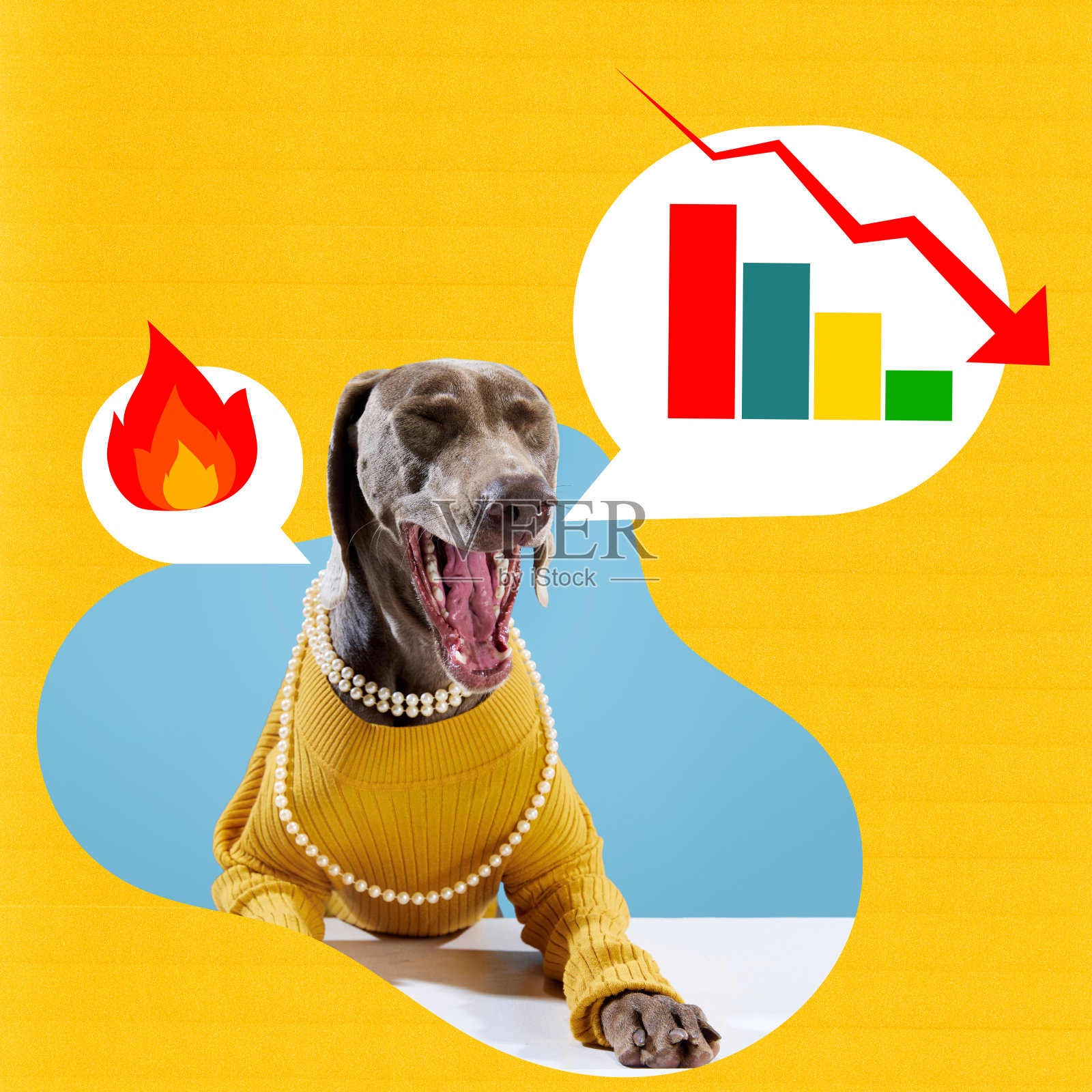 穿着黄色毛衣的纯种魏玛犬,处理下降的分析图表,为公司复苏制定统计数据。当代艺术拼贴。照片摄影图片