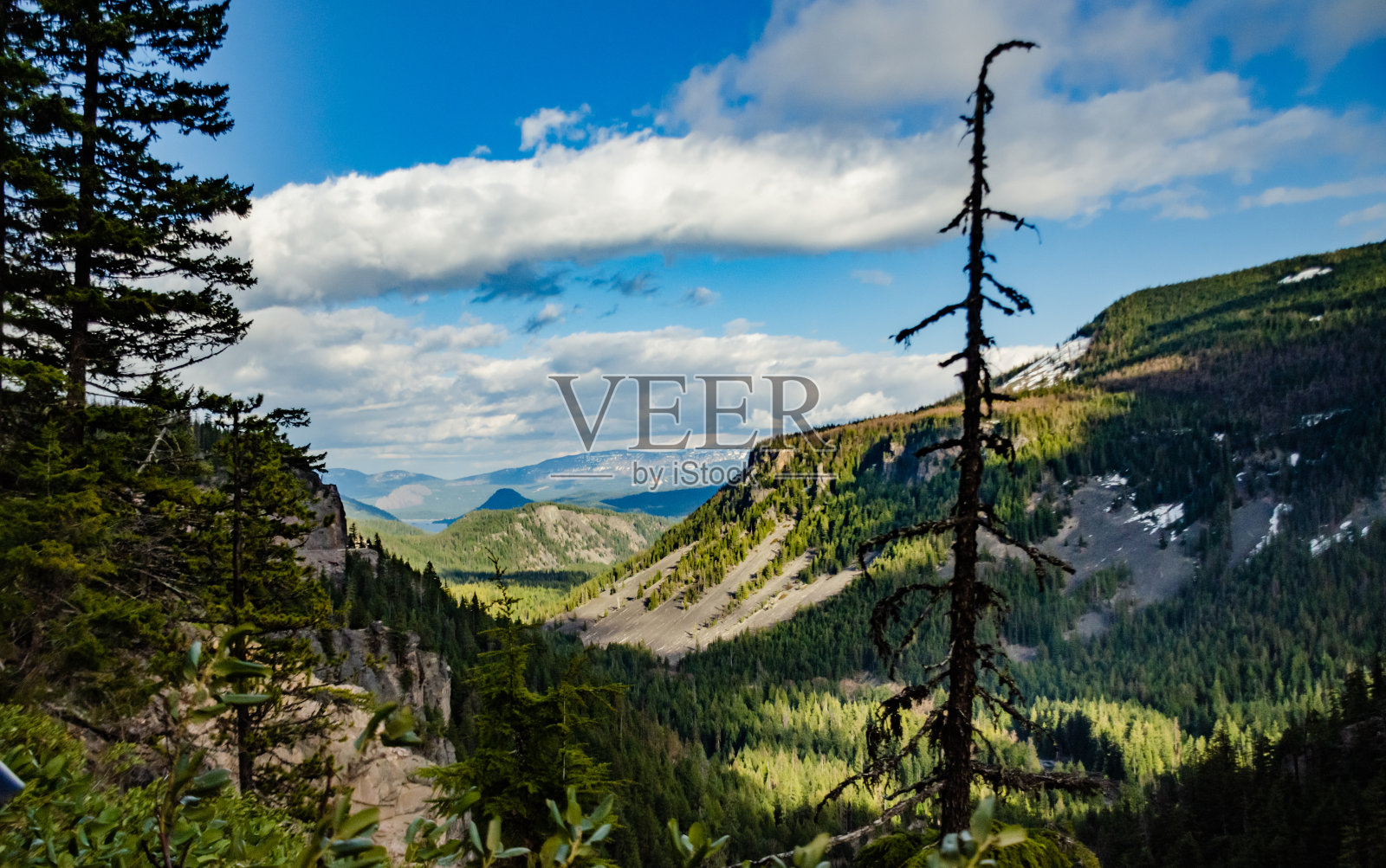 高山上覆盖着茂密的森林,远处有一个湖。蒙大拿照片摄影图片