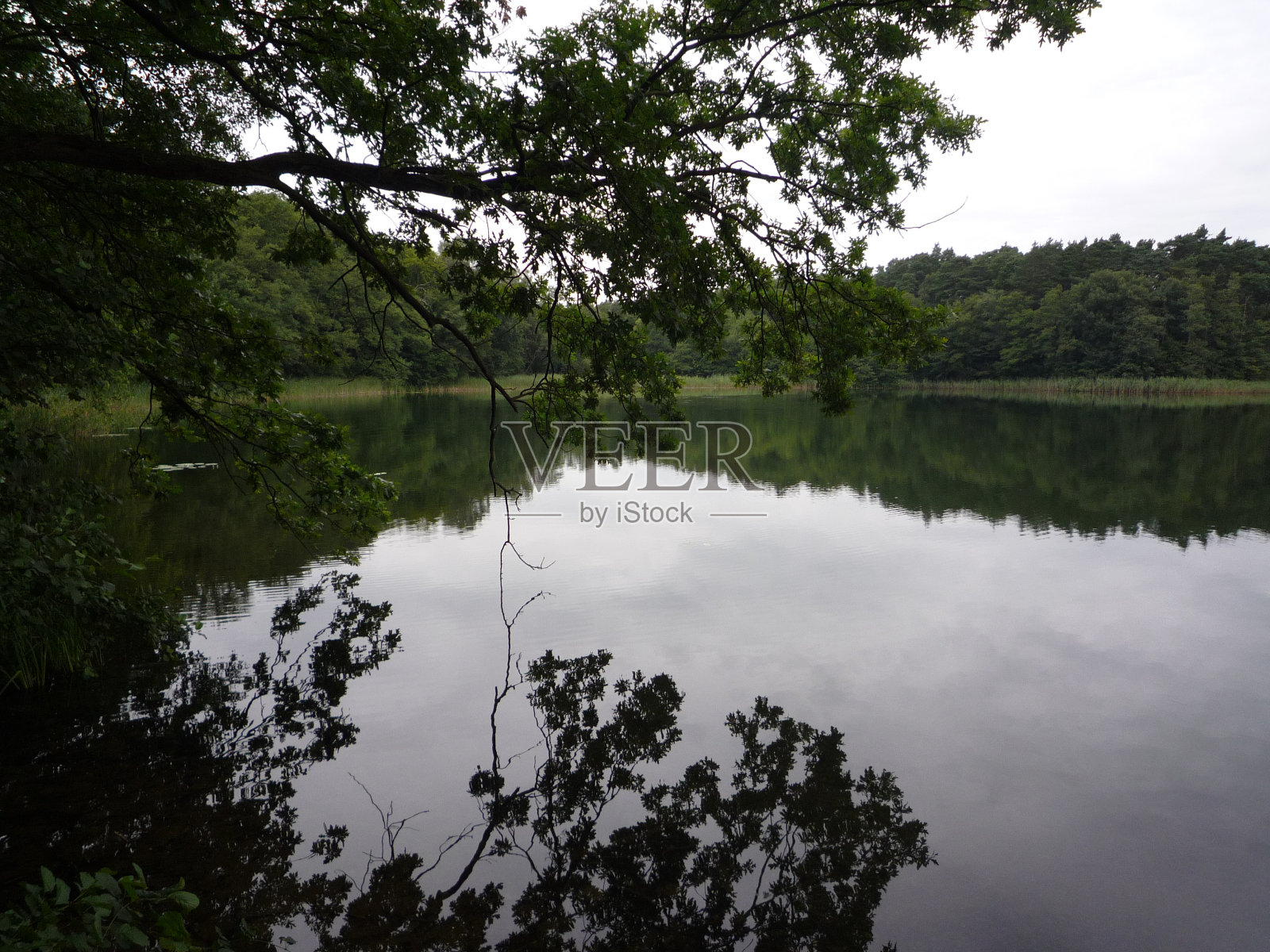 在湖边的清晨照片摄影图片