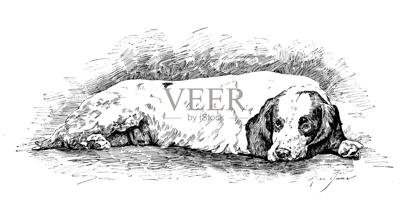 1889年的运动和消遣:小猎犬插画图片素材