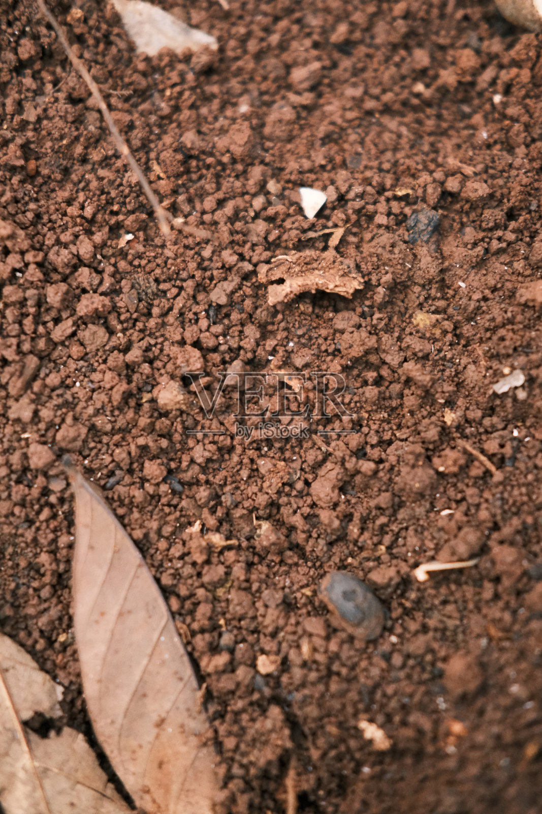 干土照片摄影图片
