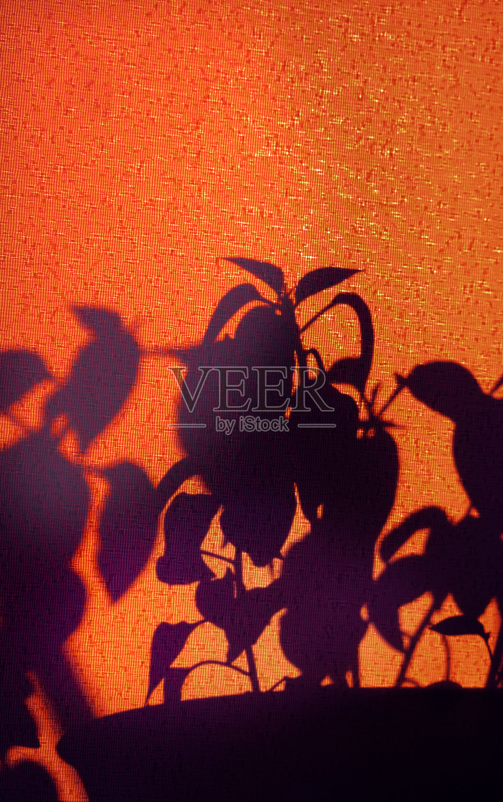 光影日落对织物纹理的影响。复古的纺织品背景。抽象的背景与花卉图案和交叉线阴影。侘寂式美学照片摄影图片