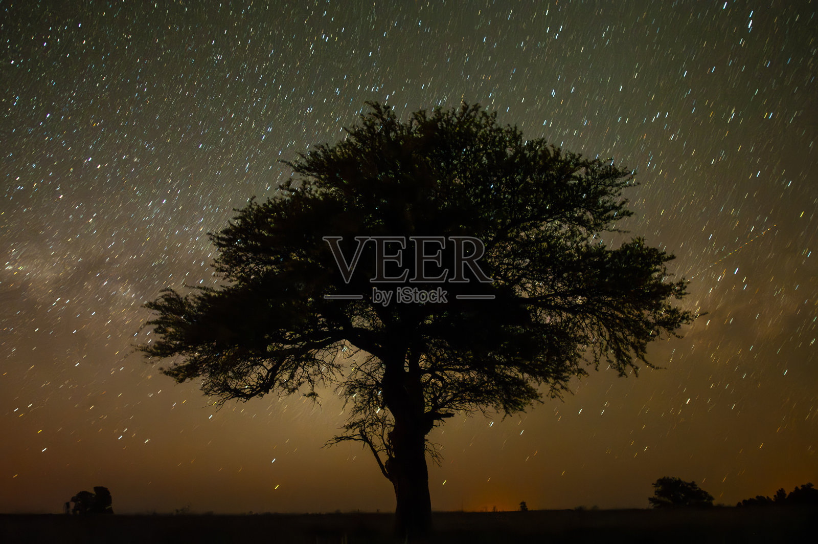 潘帕斯夜景,潘帕斯省,巴塔哥尼亚,阿根廷。照片摄影图片
