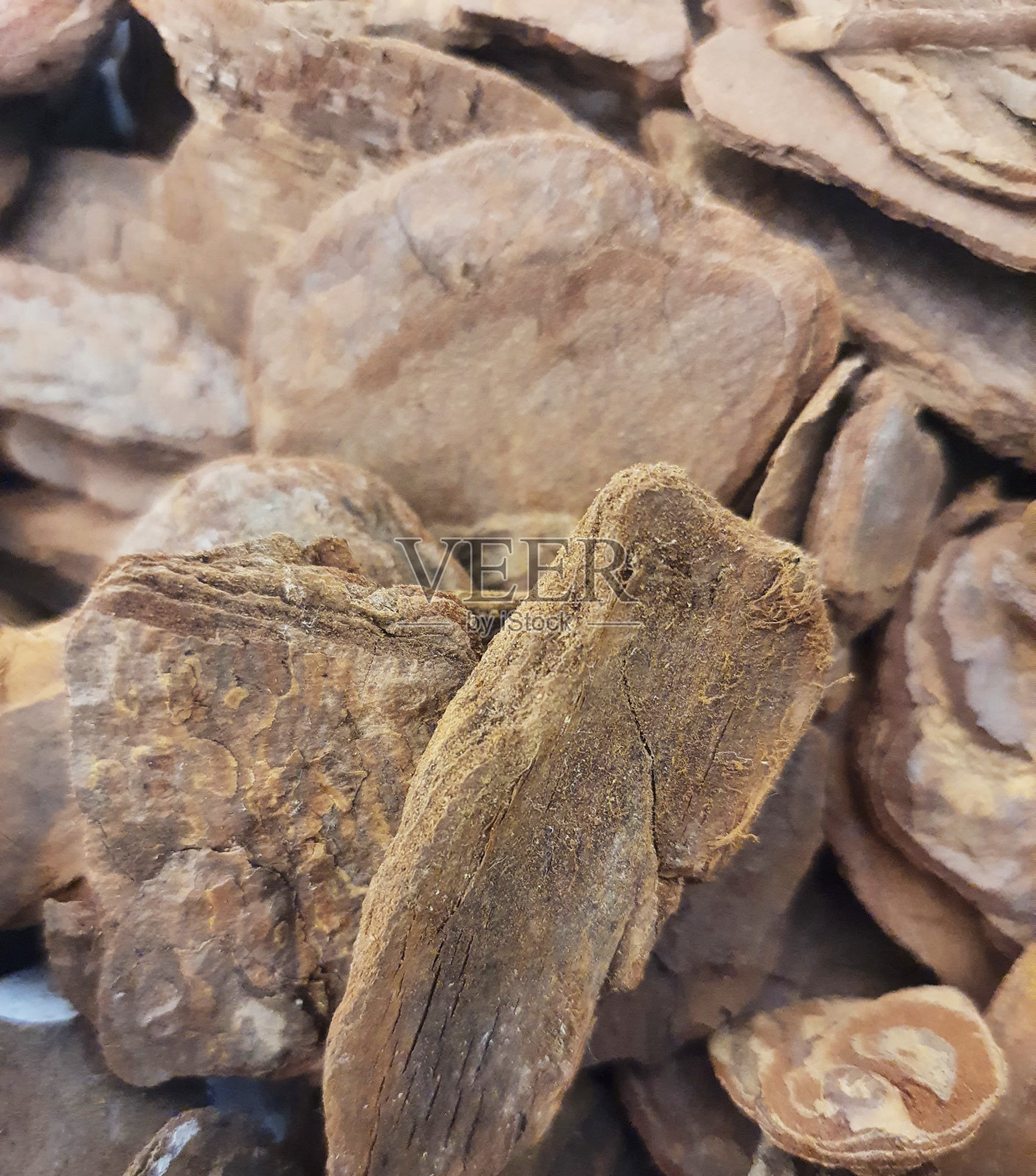 干树皮。照片摄影图片