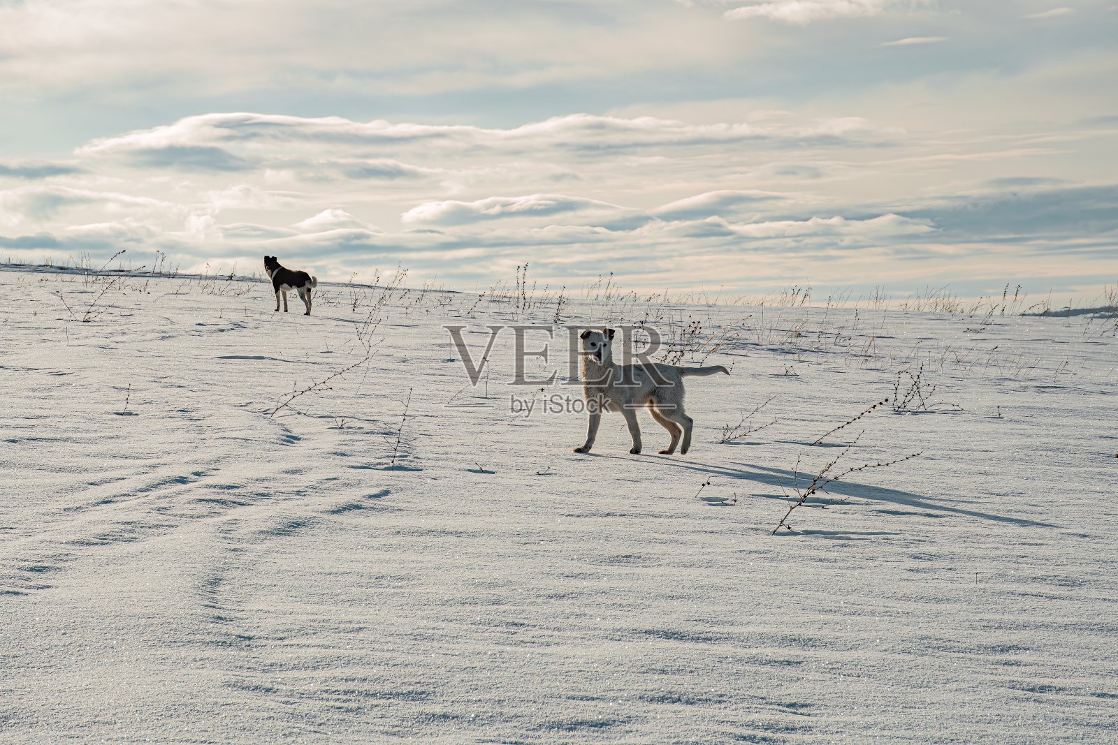 冬天徒步登山照片摄影图片