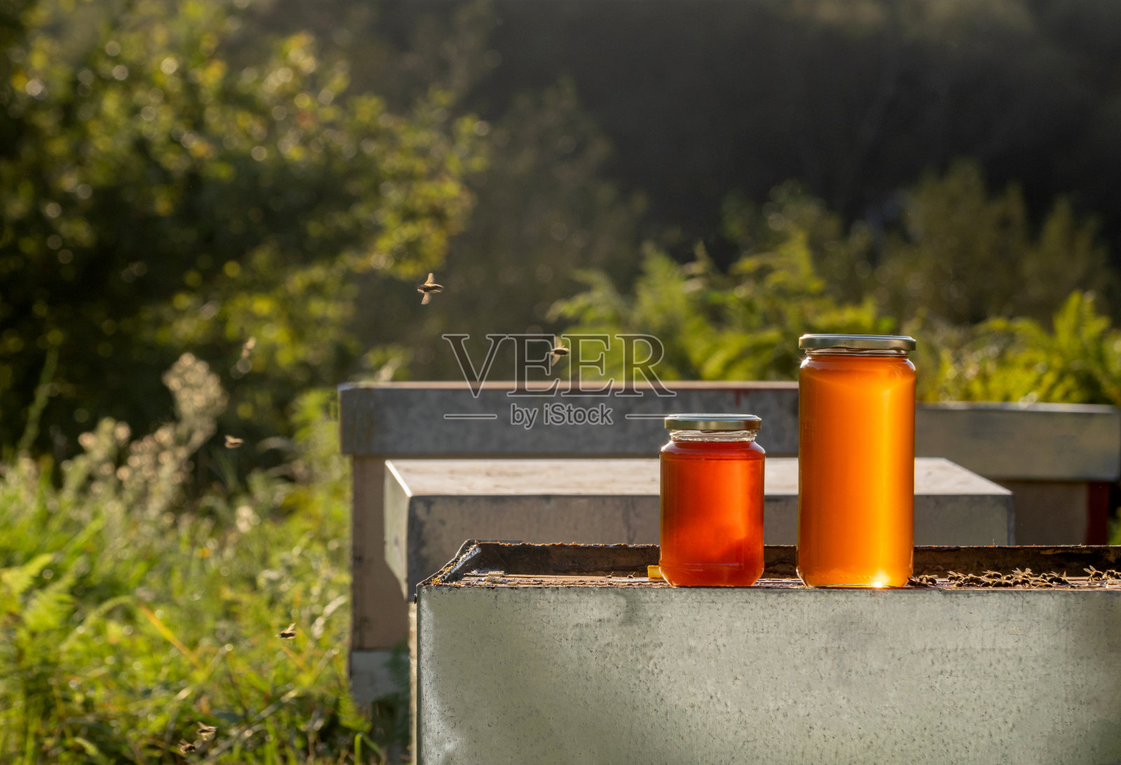 一箱两罐生态健康的蜂蜜照片摄影图片