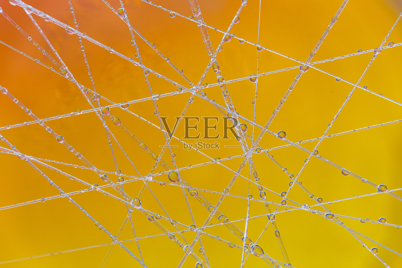 连接网络与水滴抽象的背景照片摄影图片